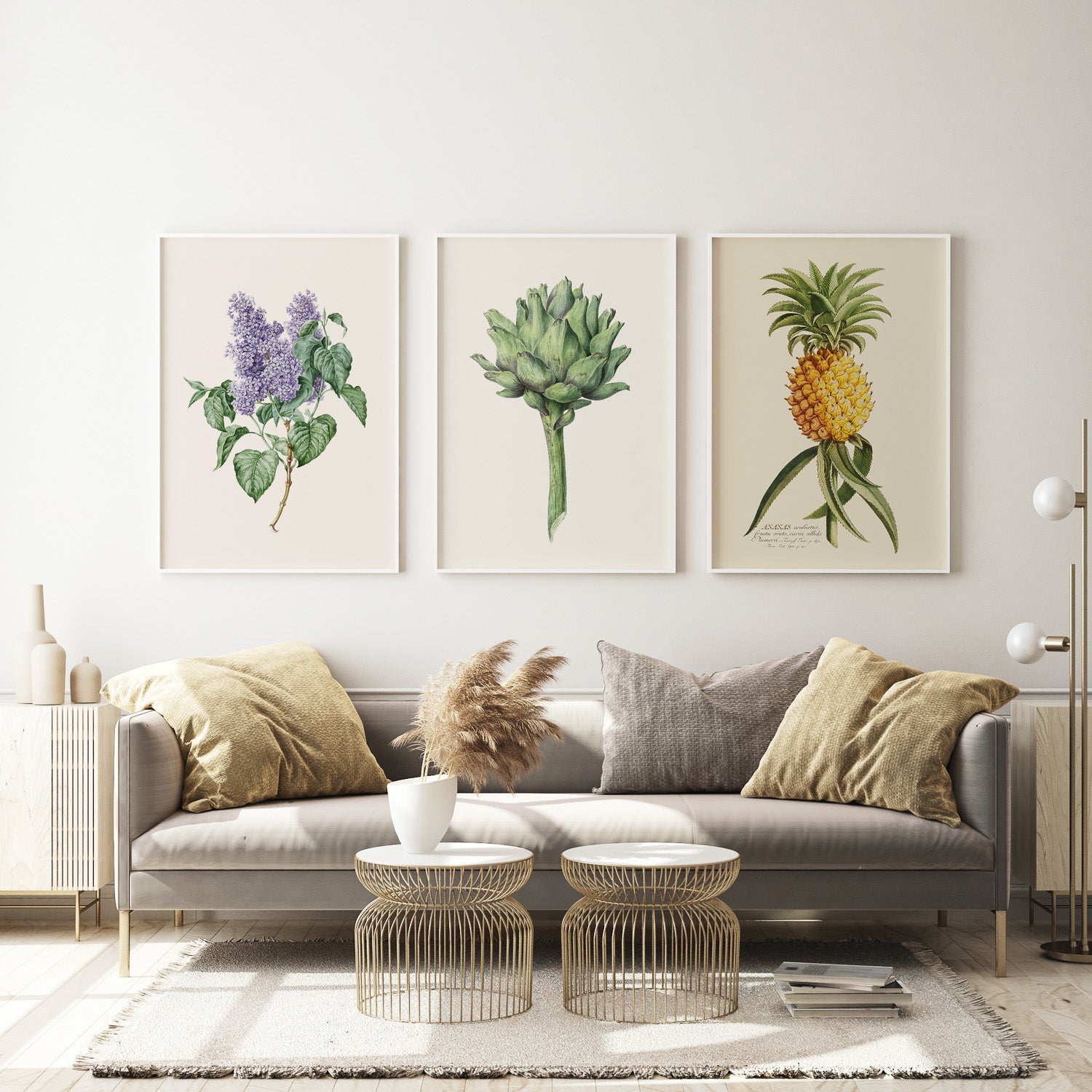 Botaniska tavlor, posters med växter, frukter och grönsaker