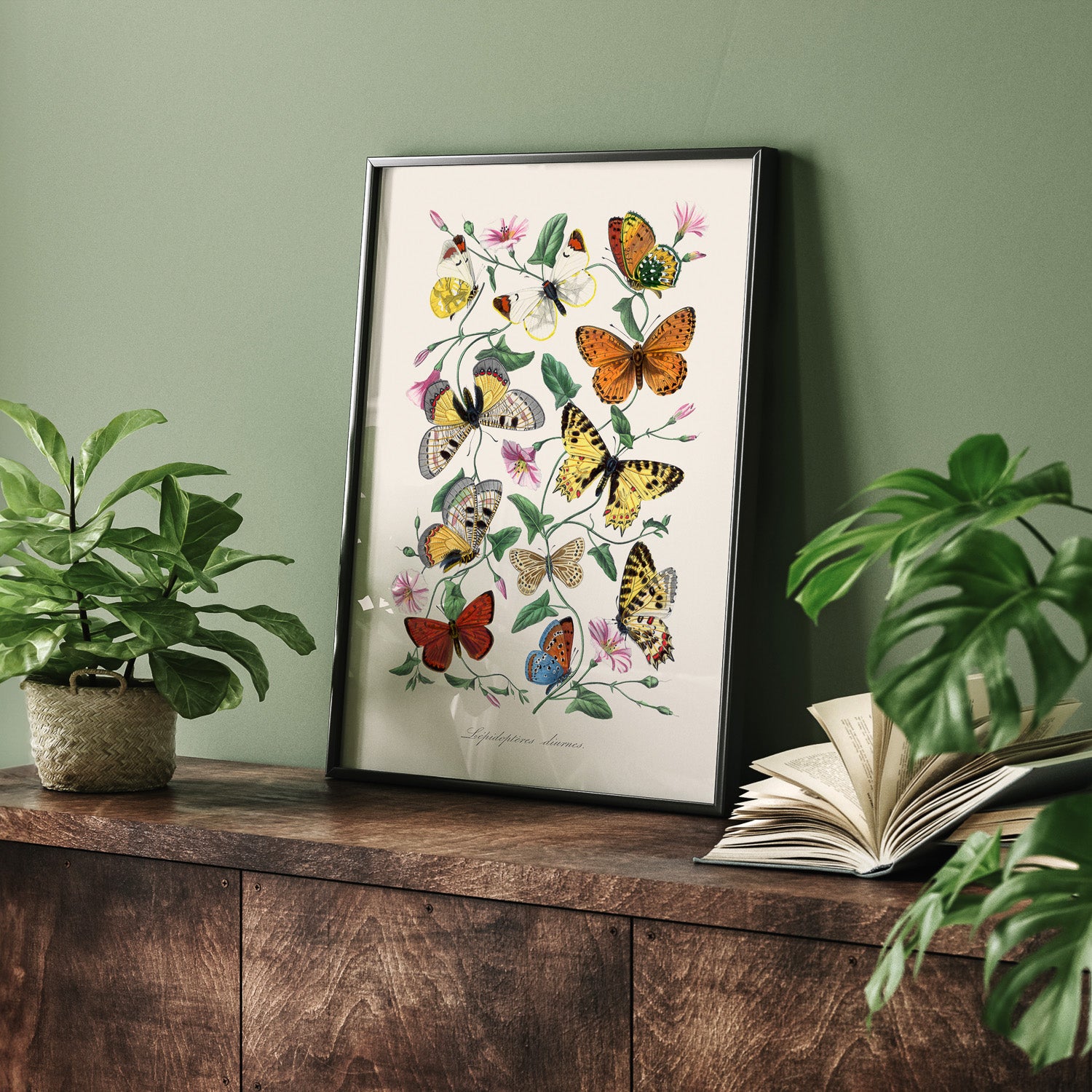 Tavla med Fjärilar No.2 poster – Vintageplansch med fjäril