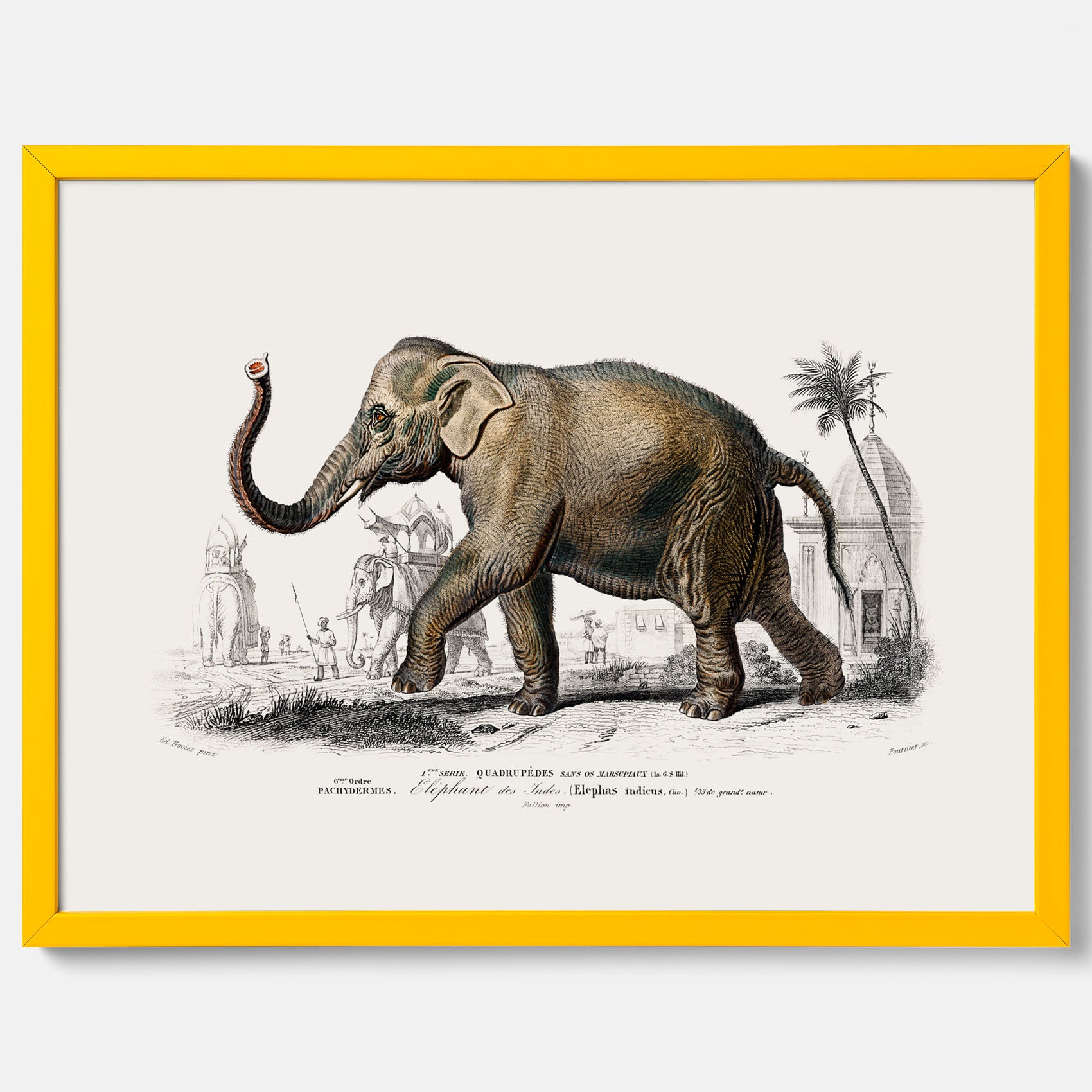 Historisk poster från 1837 som visar en illustration av en elefant