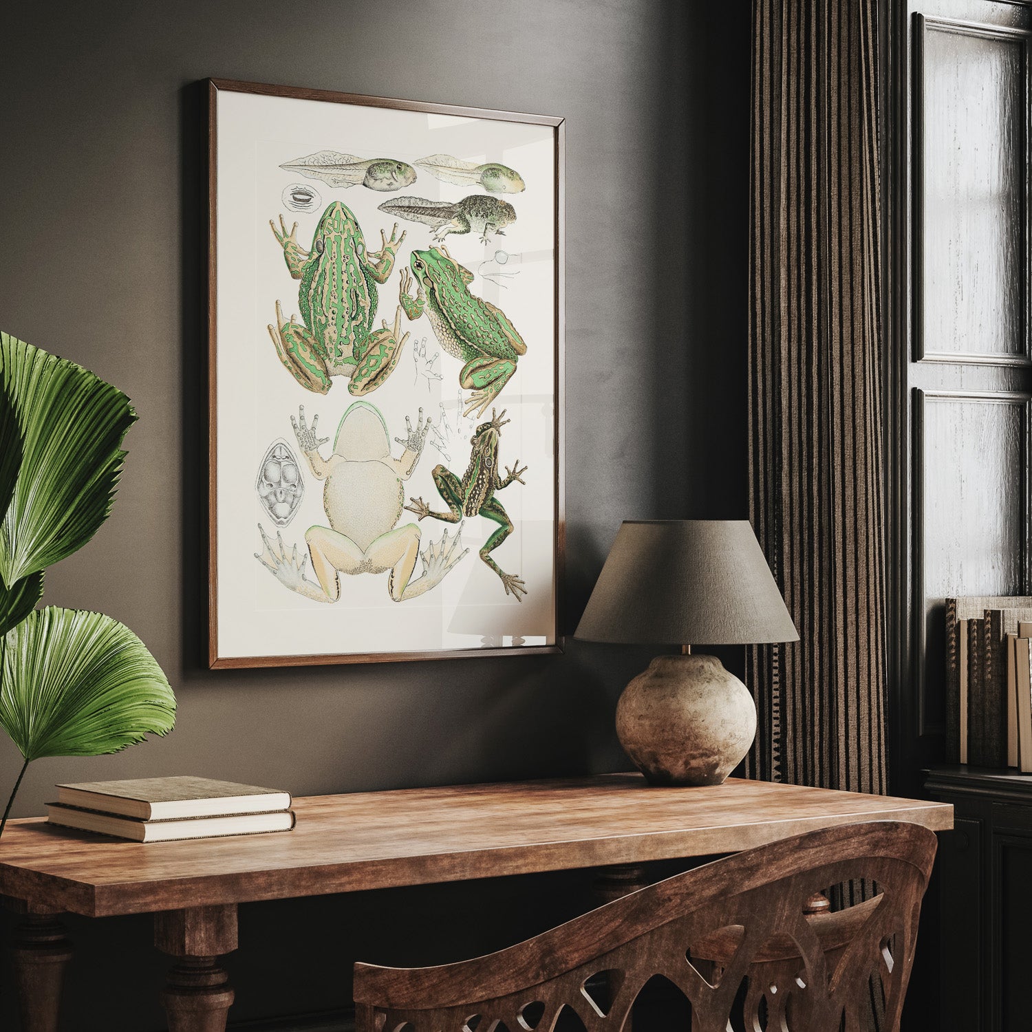 Tavla med grodor, grodtavla  – Vintageposter med grodors utvecklingsstadier