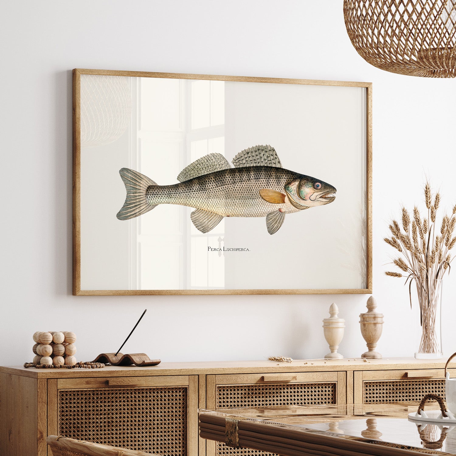 Kökstavla med Gös Poster – Plansch med fisk, skolposter, fiskposter, tavla till kök, köksposter, poster till kök