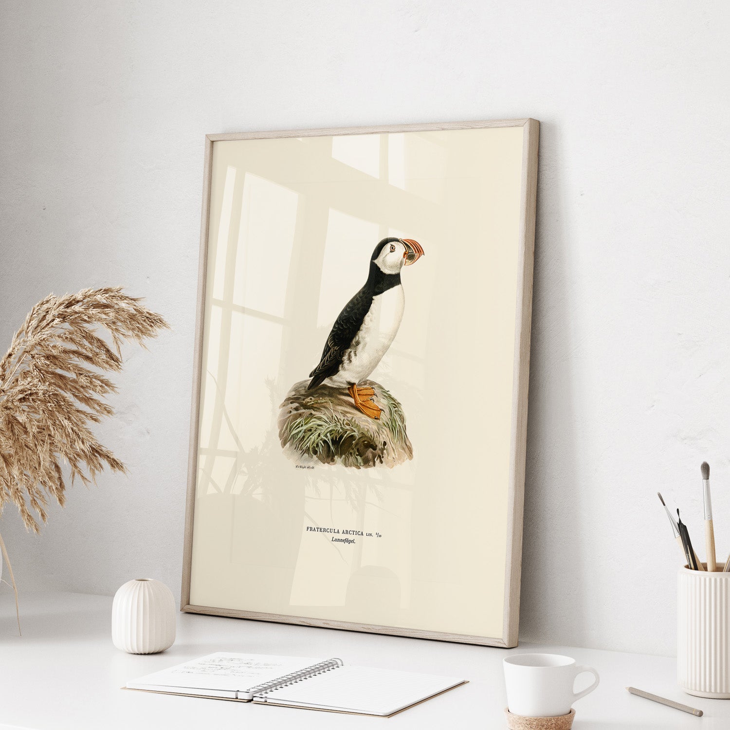 Inramad vintageposter föreställande en lunnefågel, ritad av bröderna von Wright. 30x40 cm.