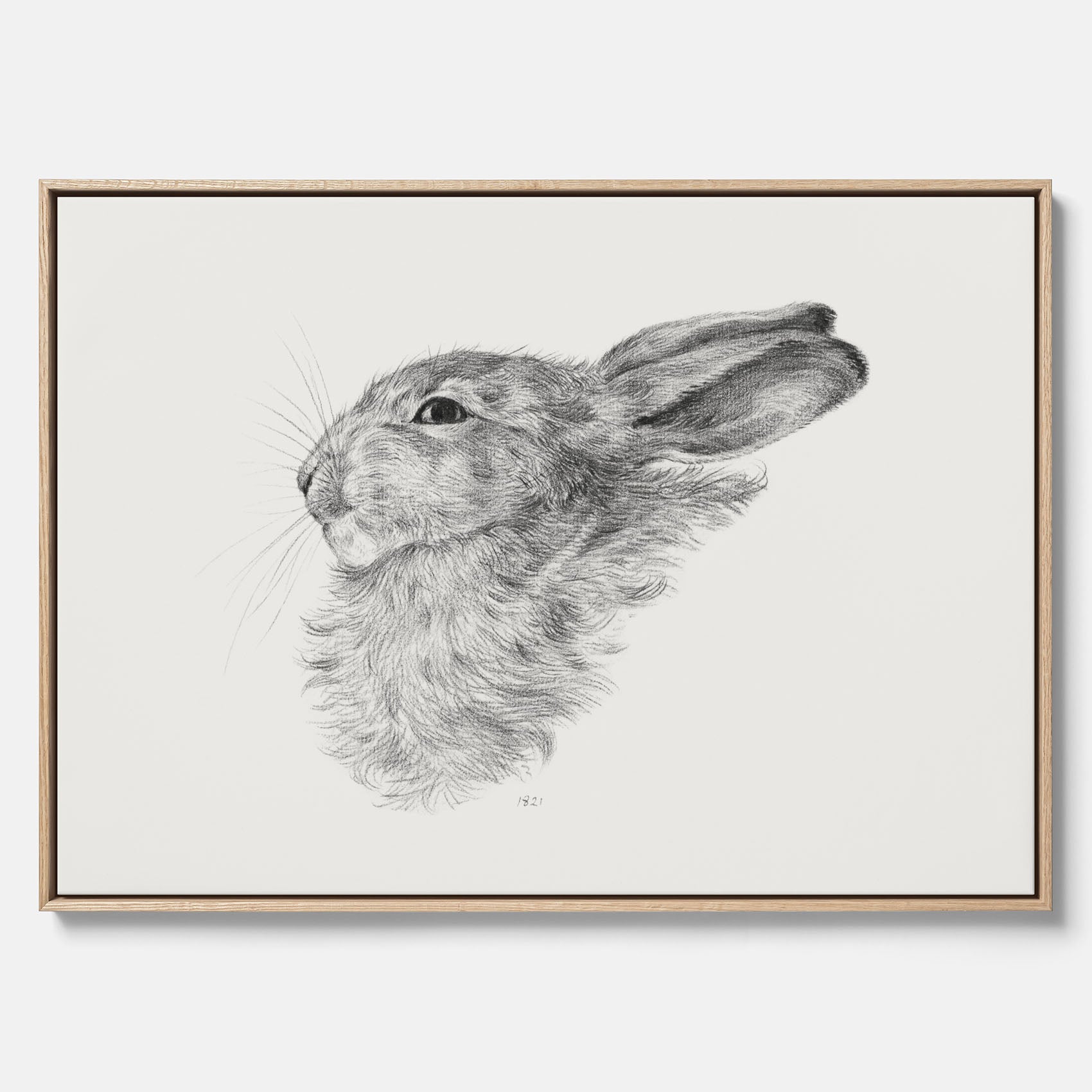Vintageposter som föreställer en svartvit illustration av en kanin canvas