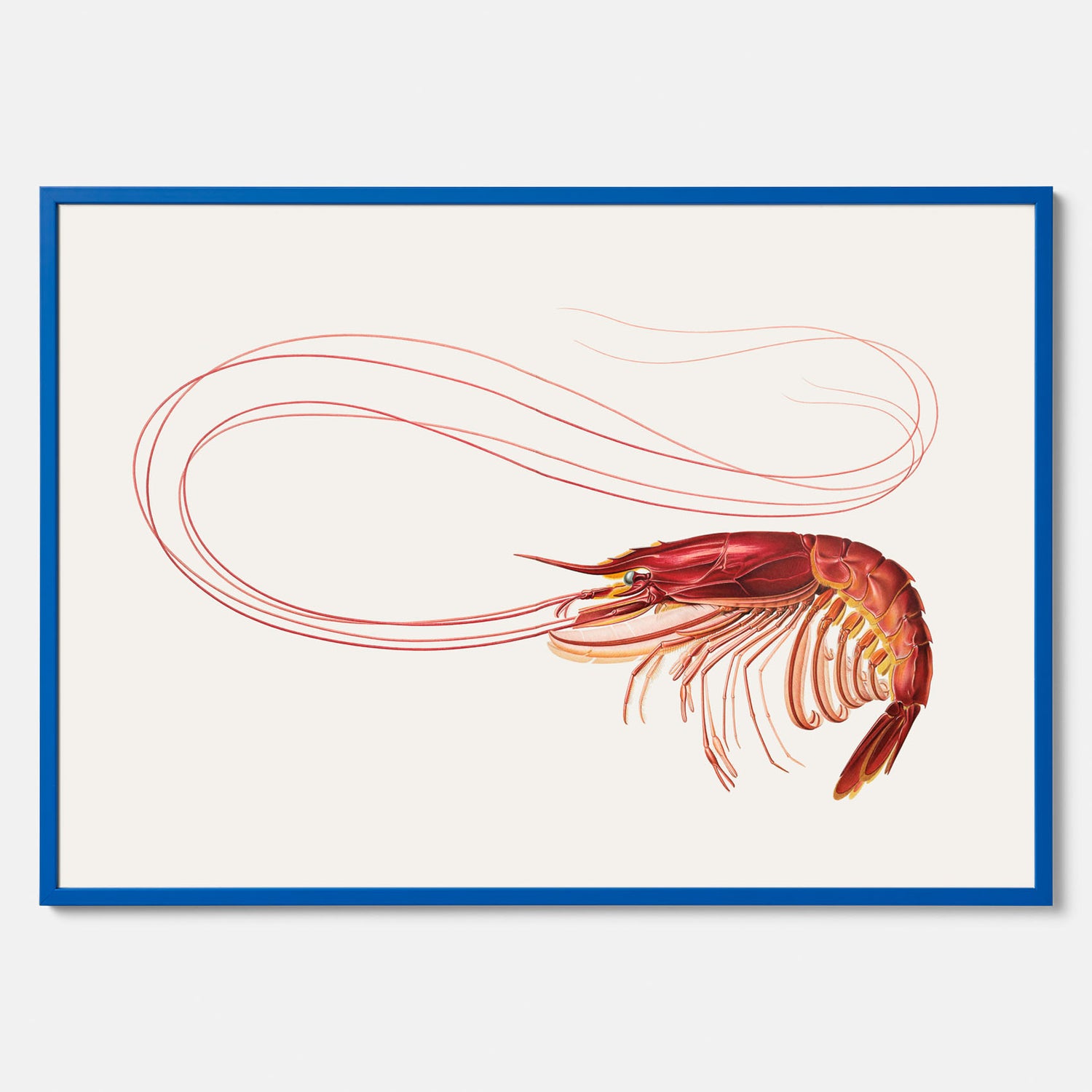 Kökstavla med en Räka Poster – Posters till köket, djurposter, köksposter, tavla till kök