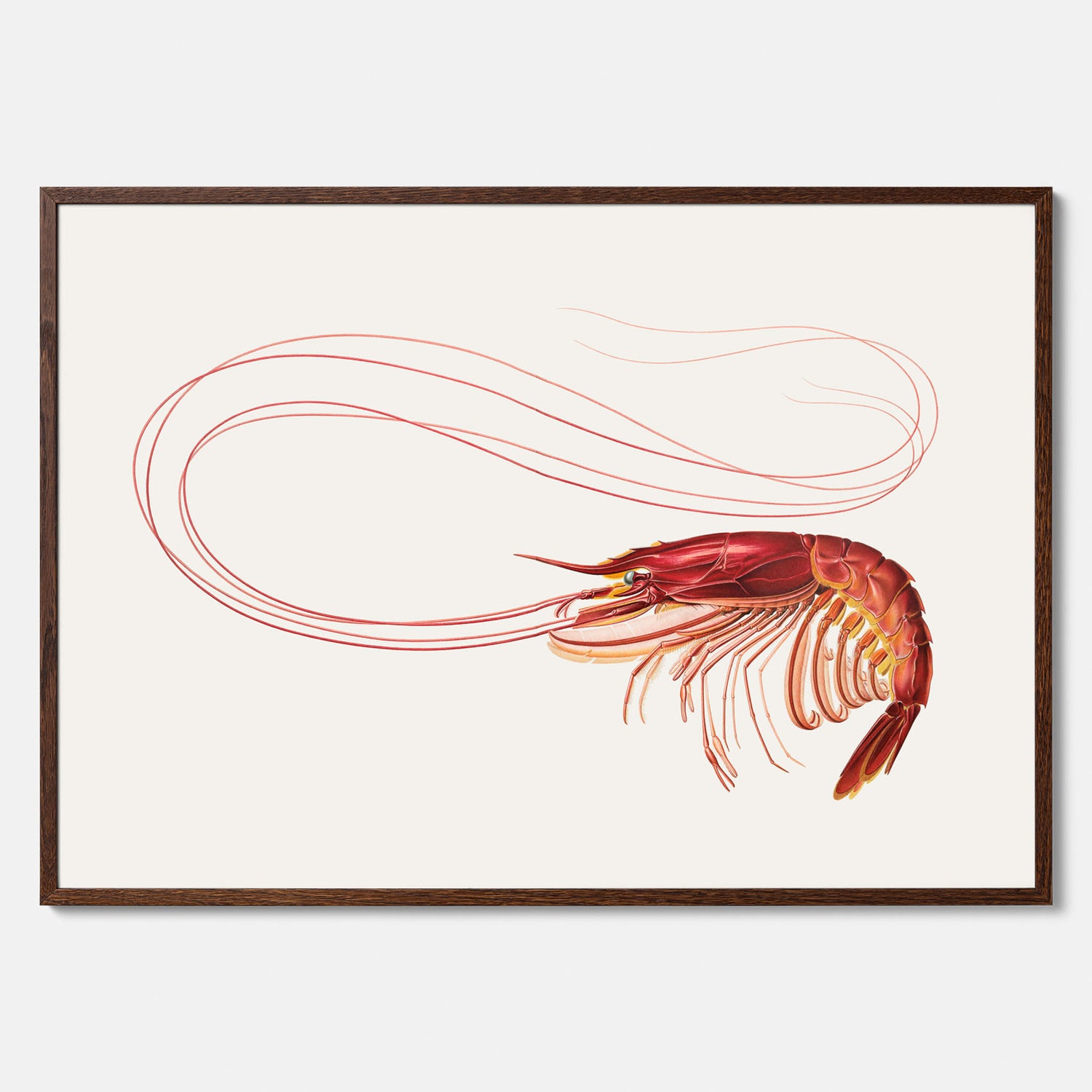 Kökstavla med en Räka Poster – Posters till köket, djurposter, köksposter, tavla till kök