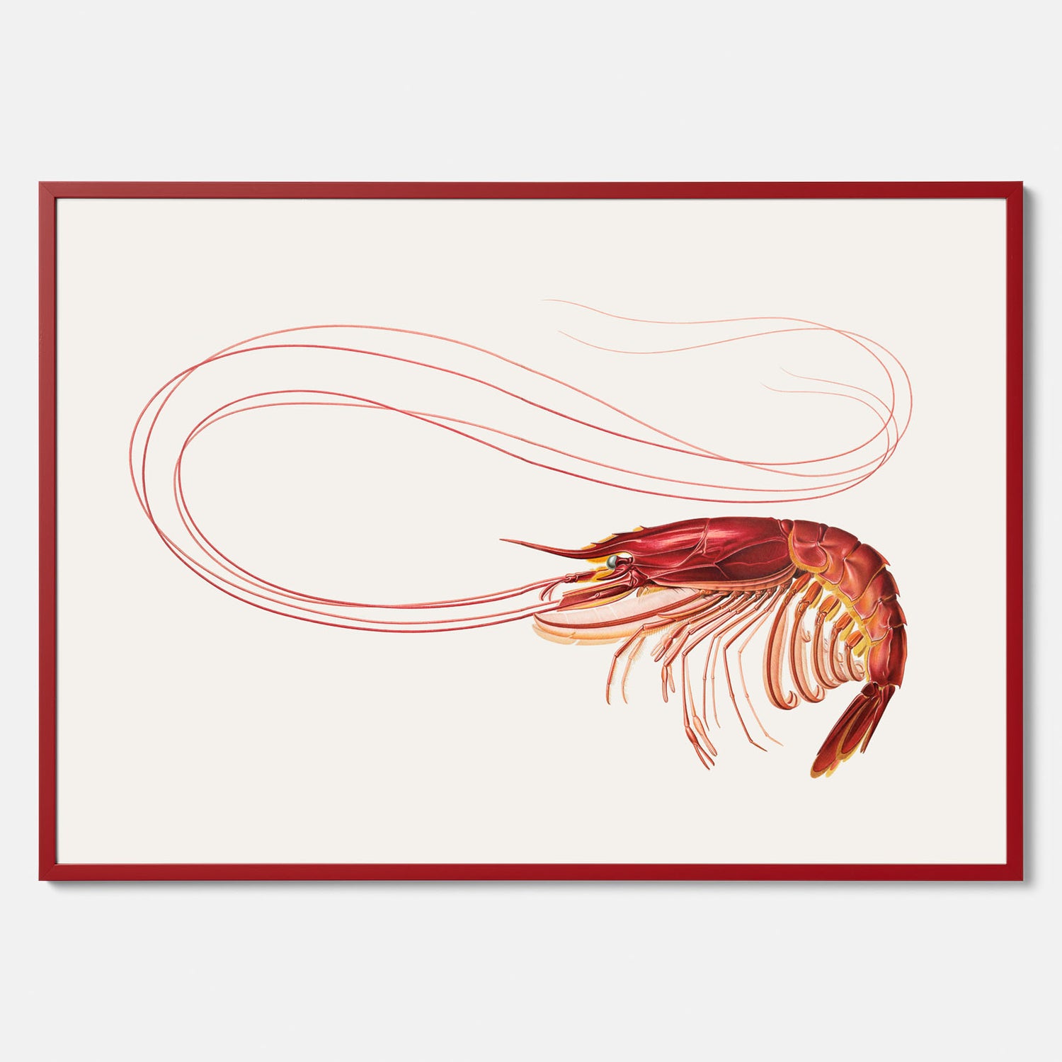 Kökstavla med en Räka Poster – Posters till köket, djurposter, köksposter, tavla till kök