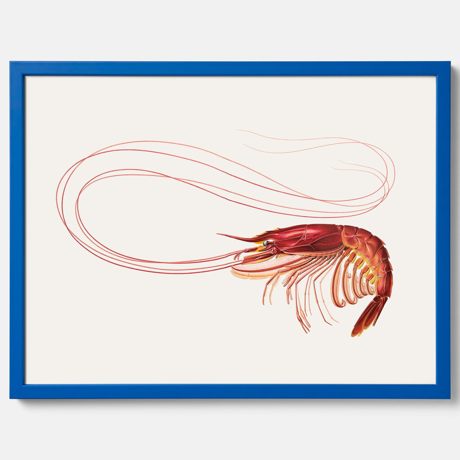 Kökstavla med en Räka Poster – Posters till köket, djurposter, köksposter, tavla till kök