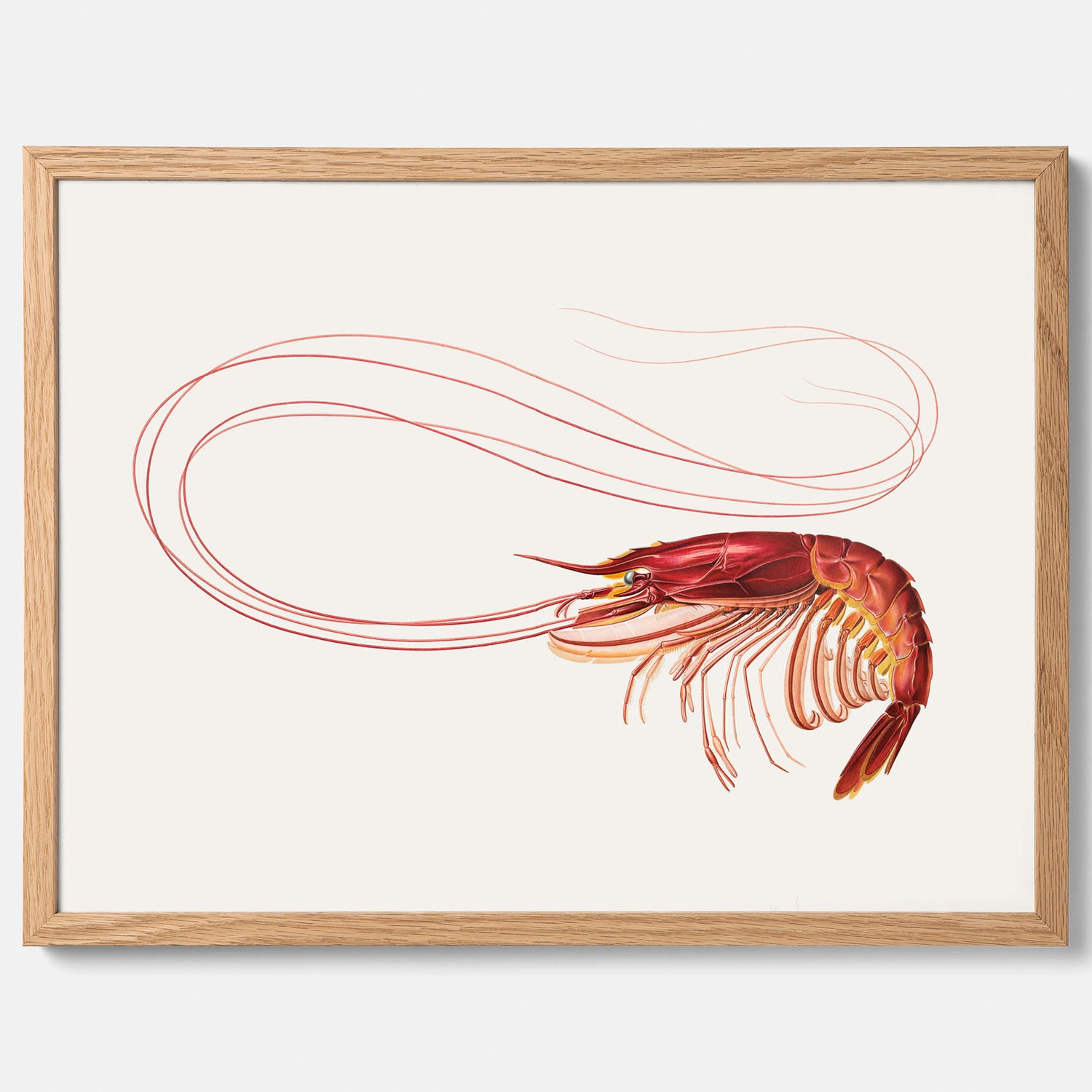 Kökstavla med en Räka Poster – Posters till köket, djurposter, köksposter, tavla till kök