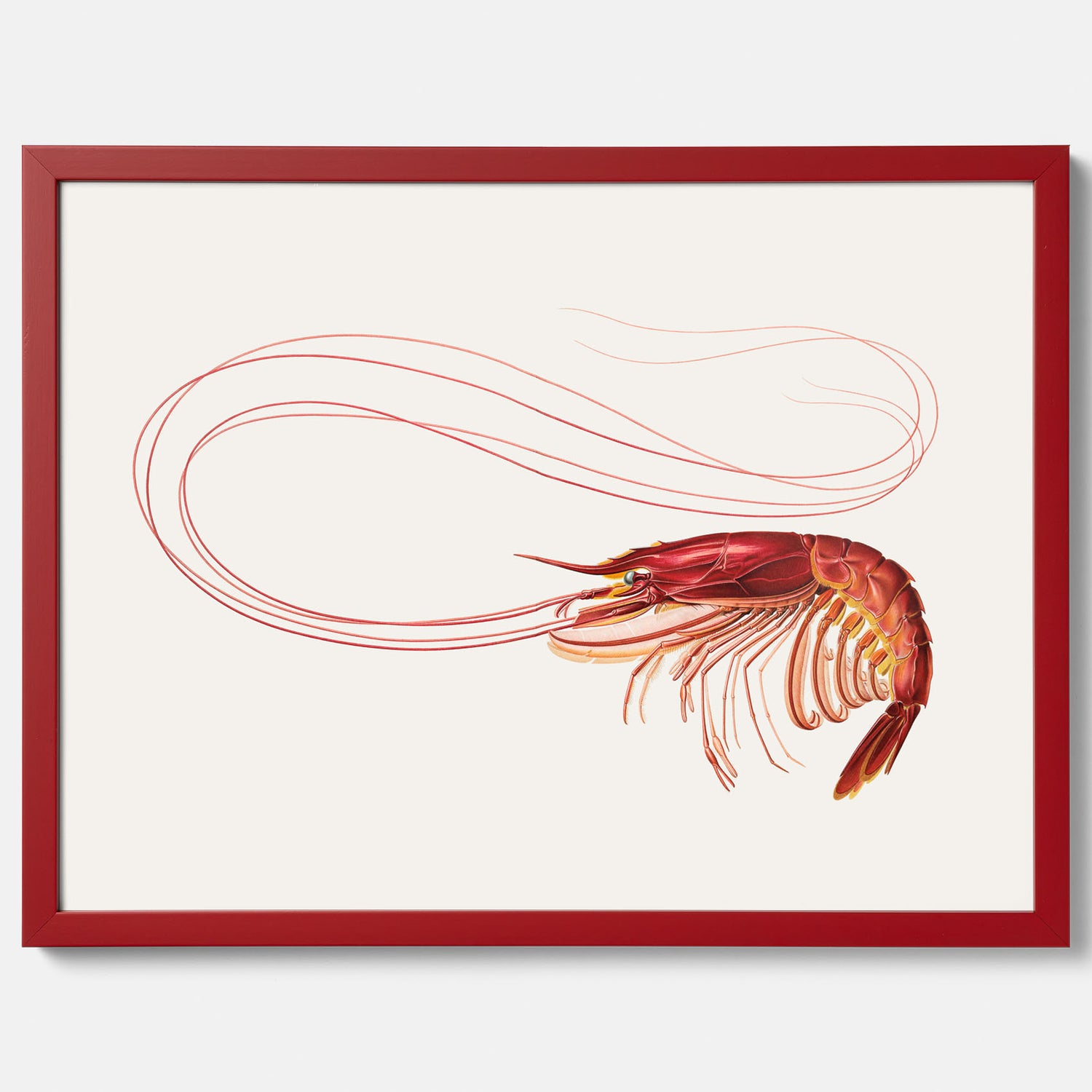 Kökstavla med en Räka Poster – Posters till köket, djurposter, köksposter, tavla till kök