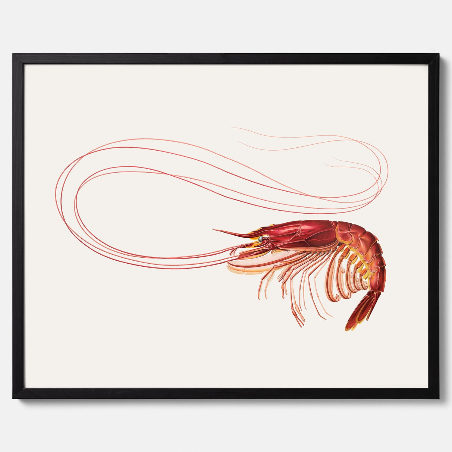 Kökstavla med en Räka Poster – Posters till köket, djurposter, köksposter, tavla till kök