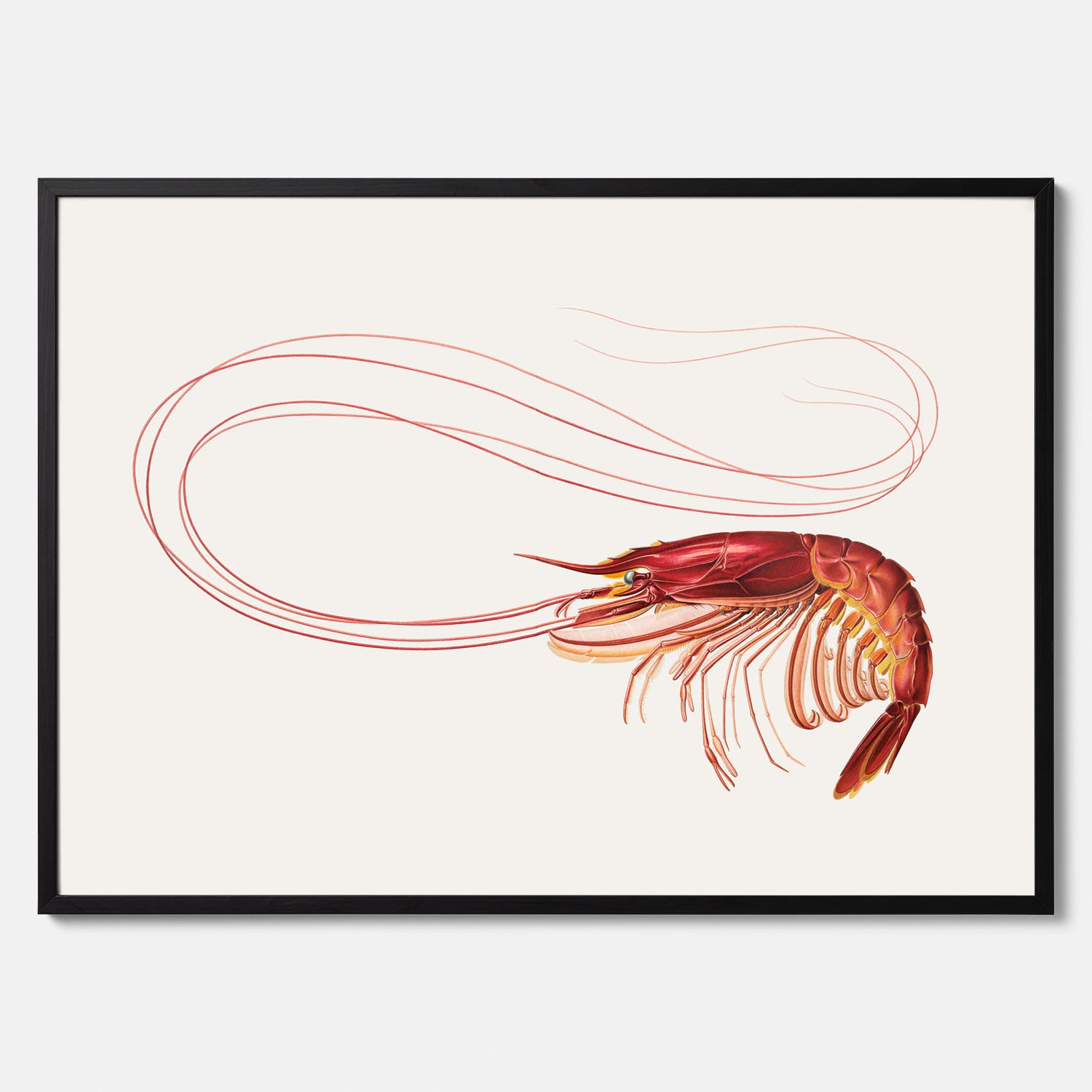 Kökstavla med en Räka Poster – Posters till köket, djurposter, köksposter, tavla till kök