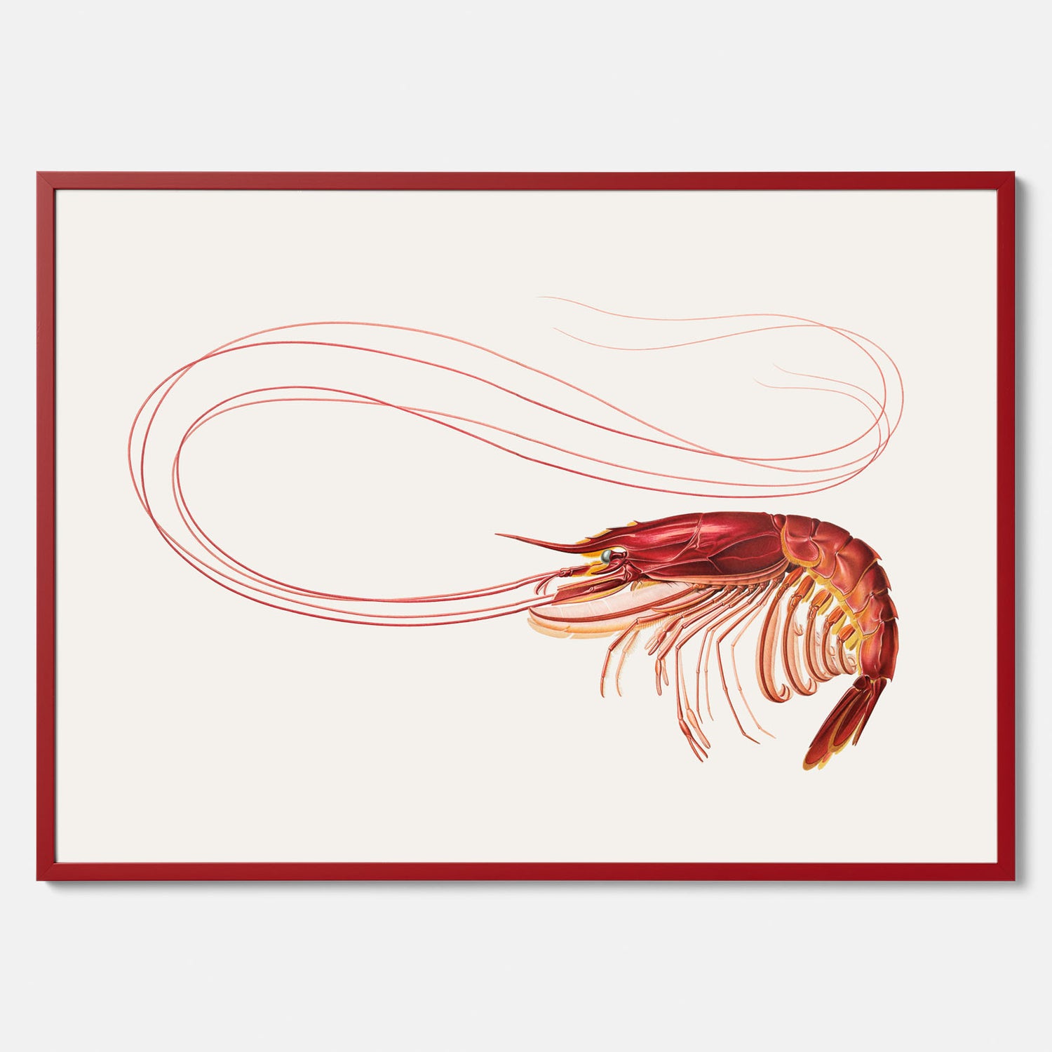 Kökstavla med en Räka Poster – Posters till köket, djurposter, köksposter, tavla till kök