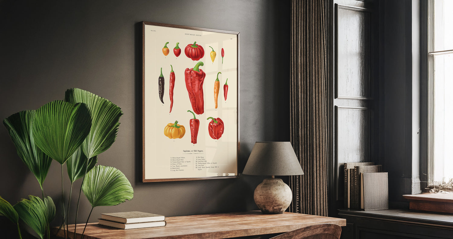 Tavla med Chilifrukter poster – Plansch med grönsaker, chiliposter av Ernst Benary, chilitavla, tavla med chilifrukter, skolposter