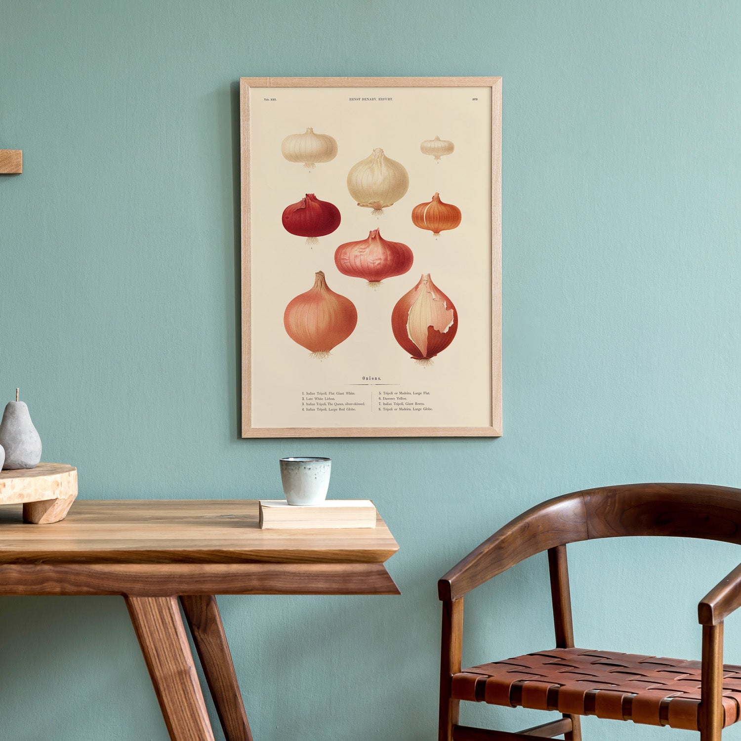 Kökstavla med lökar poster – Plansch med lökar, lökposter av Ernst Benary, tavla med lök, skolposter, köksposter, poster till kök