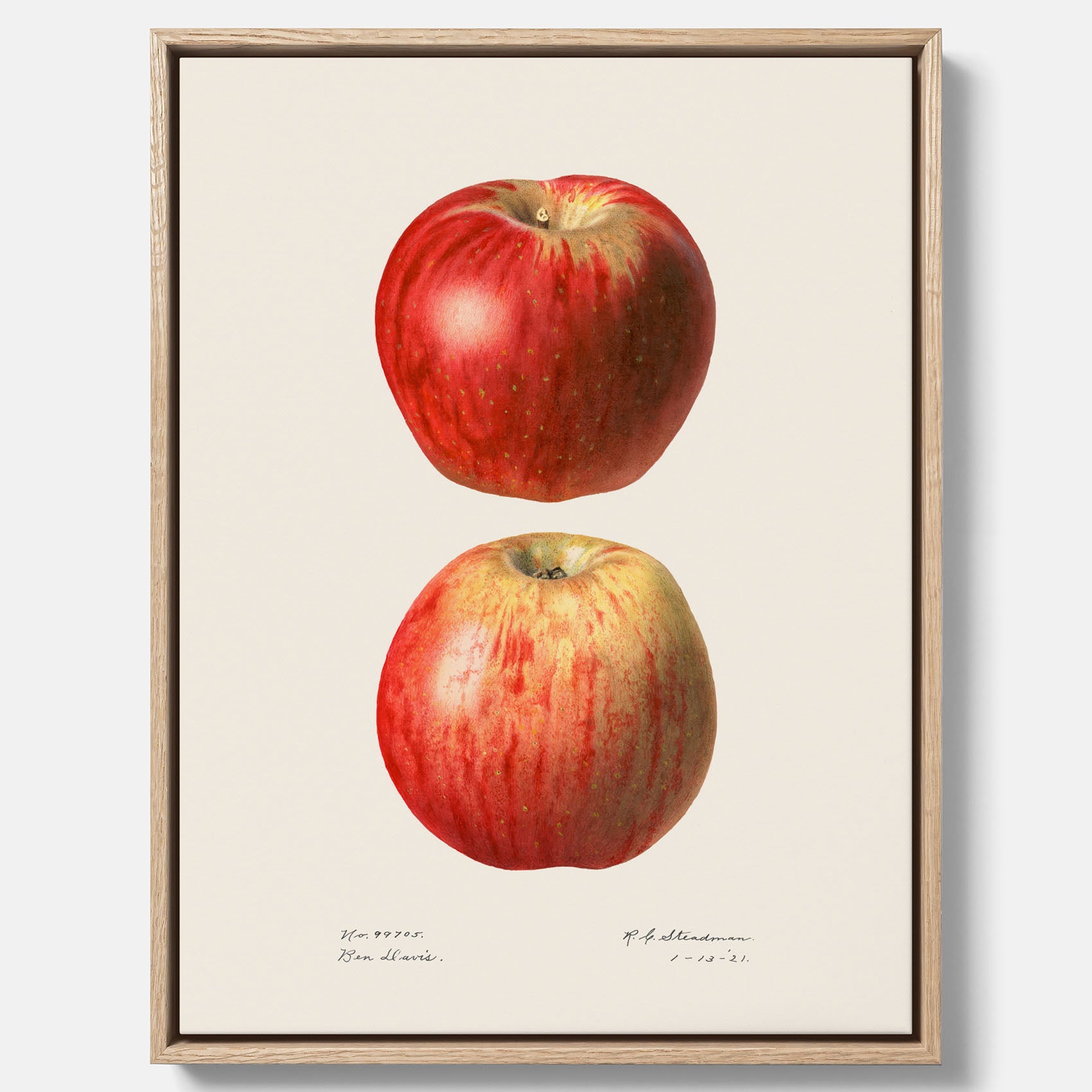 Kökstavla med Äpple poster No.2 – Canvas, tavla till kök med applen, poster till kök