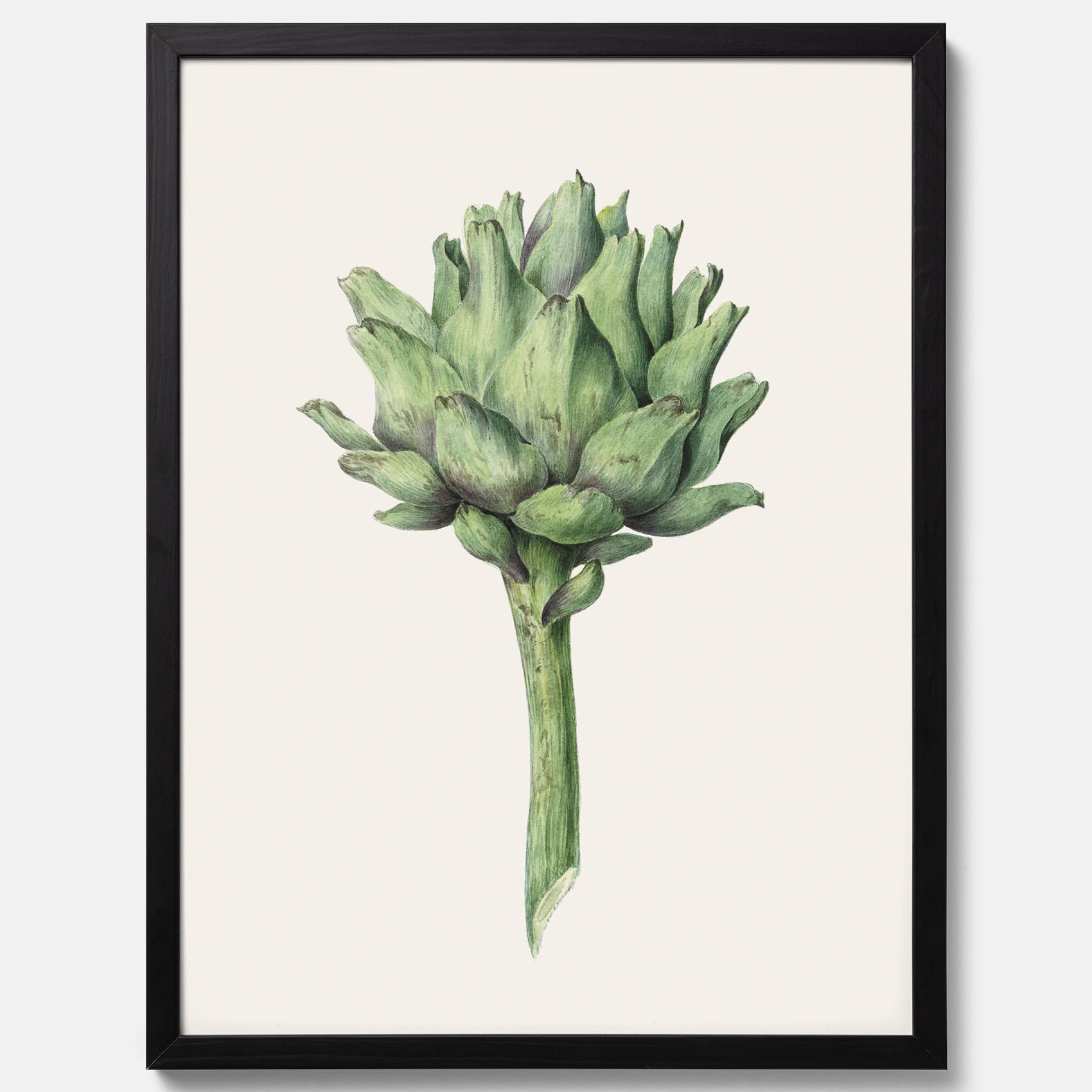 Kökstavla med en Kronärtskocka Poster – Plansch till kök med vintageillustration, vintageposter, köksposter, tavla till kök, poster till kök