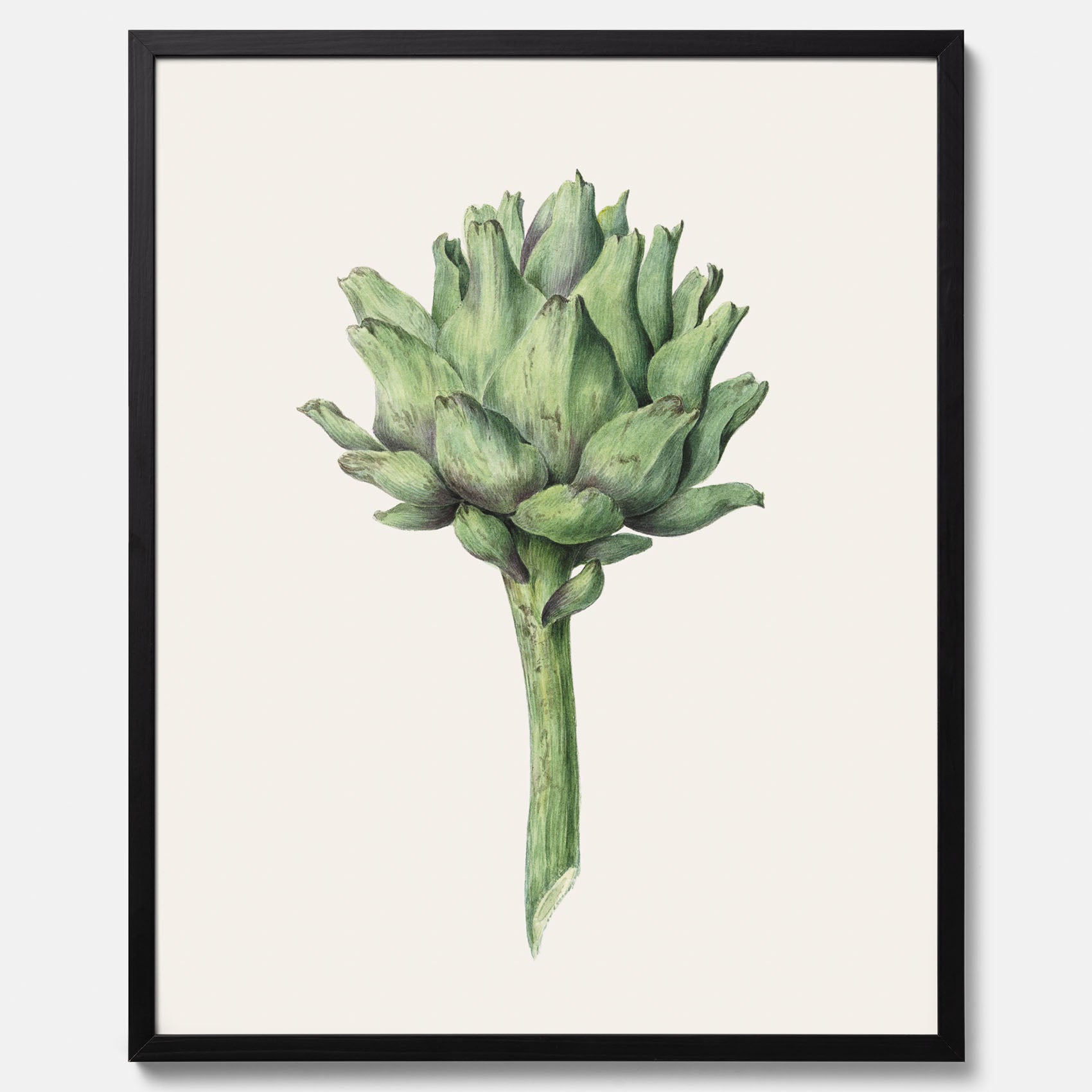 Kökstavla med en Kronärtskocka Poster – Plansch till kök med vintageillustration, vintageposter, köksposter, tavla till kök, poster till kök