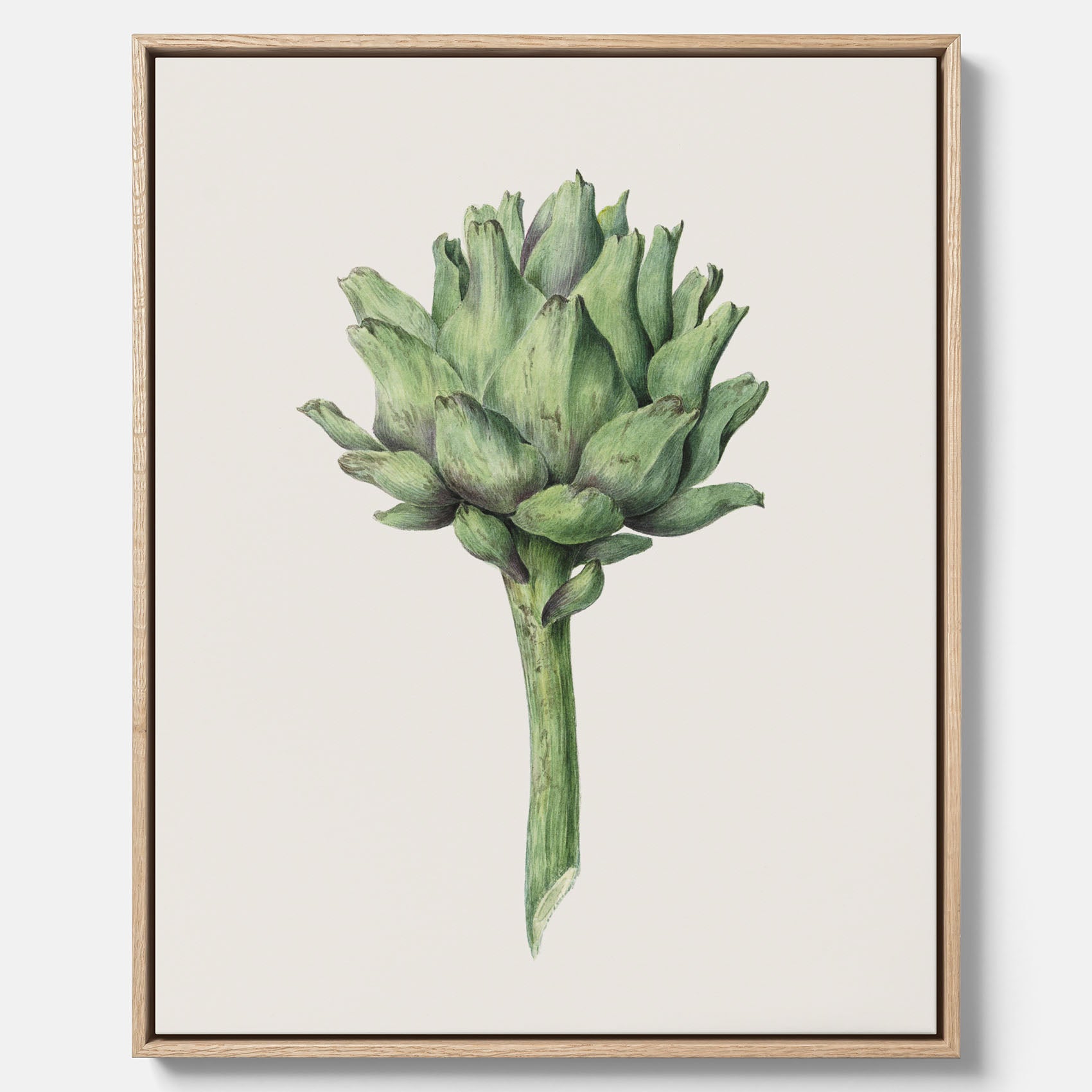 Kökstavla i canvas med en Kronärtskocka Poster – Plansch till kök med vintageillustration, vintageposter, köksposter, tavla till kök, poster till kök