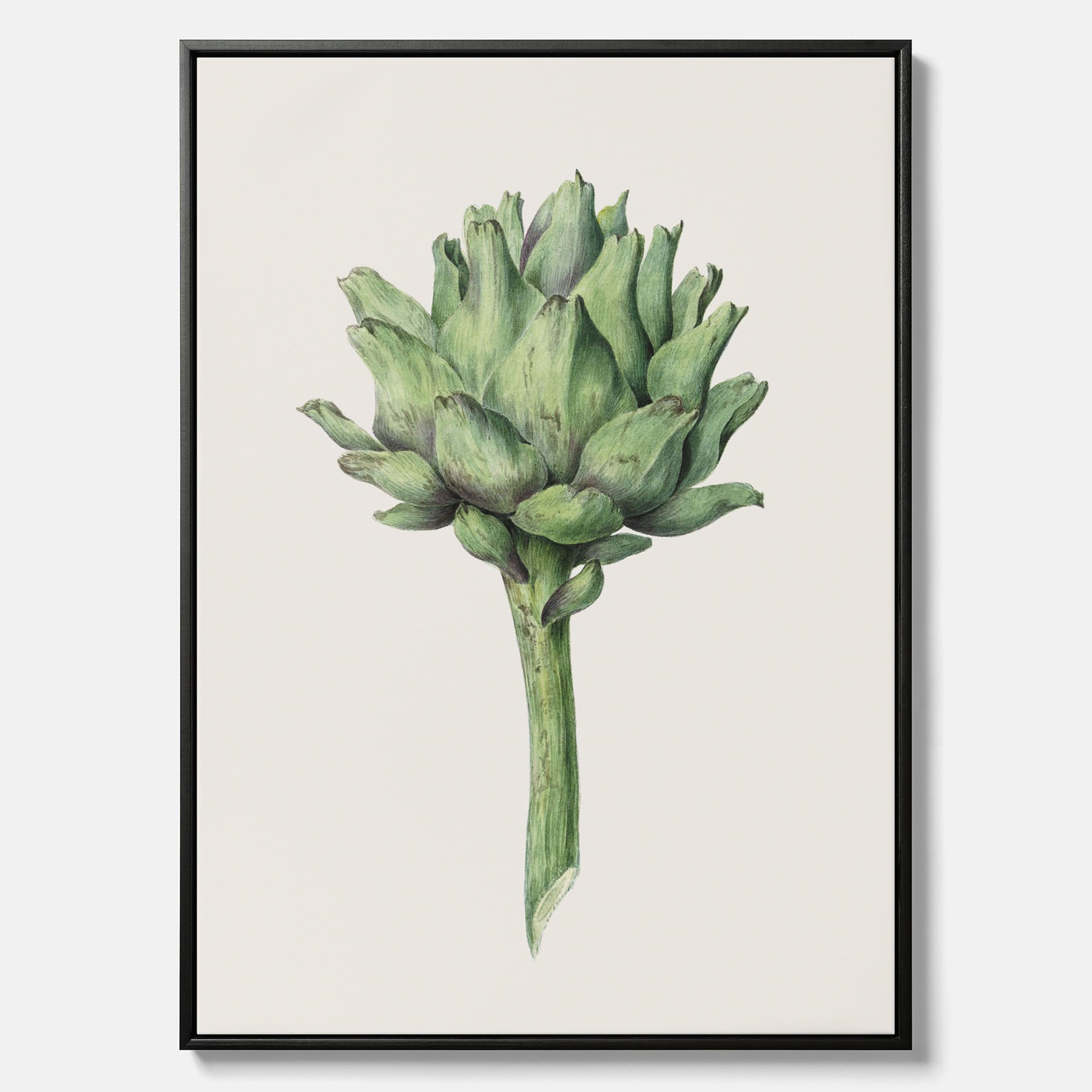 Kökstavla i canvas med en Kronärtskocka Poster – Plansch till kök med vintageillustration, vintageposter, köksposter, tavla till kök, poster till kök