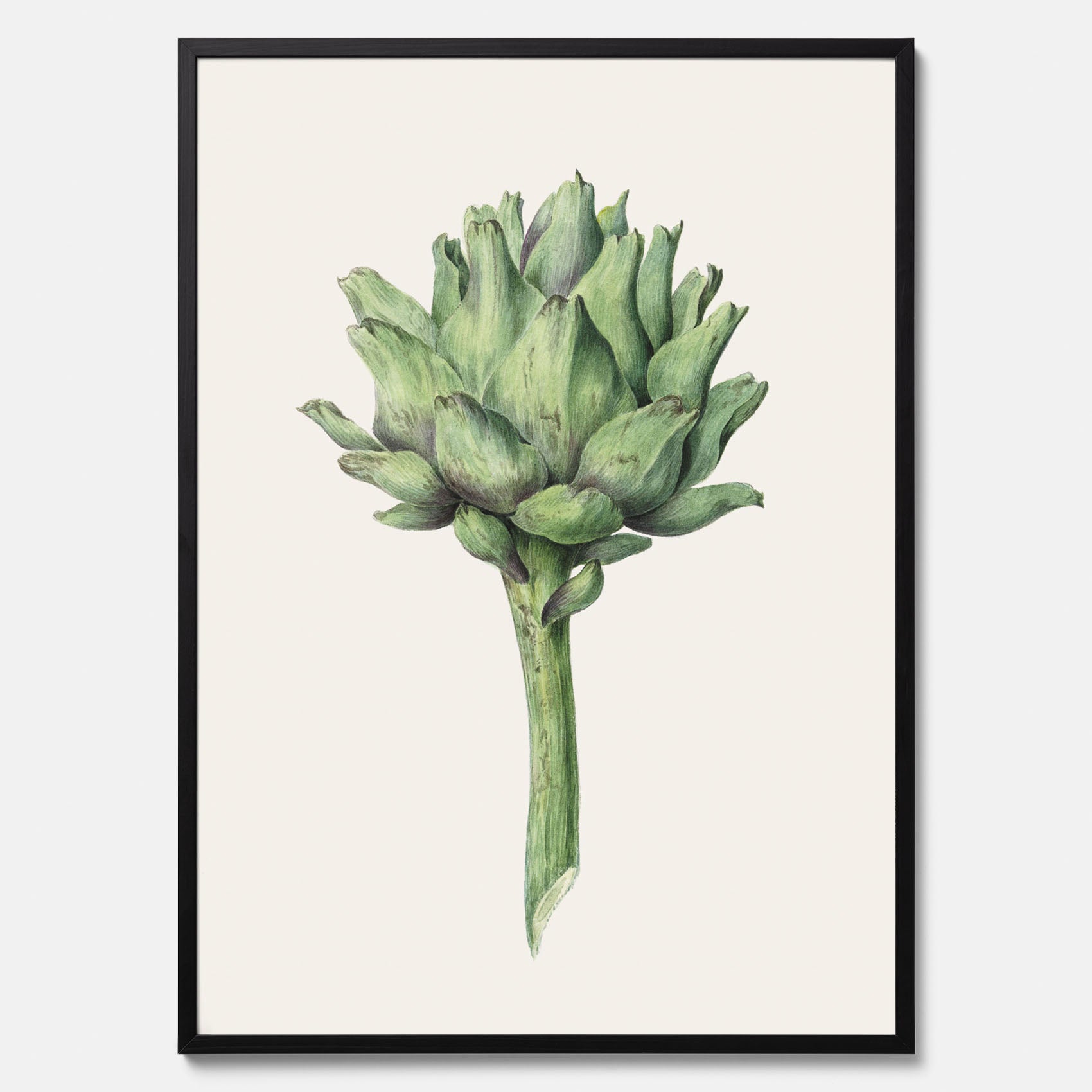 Kökstavla med en Kronärtskocka Poster – Plansch till kök med vintageillustration, vintageposter, köksposter, tavla till kök, poster till kök