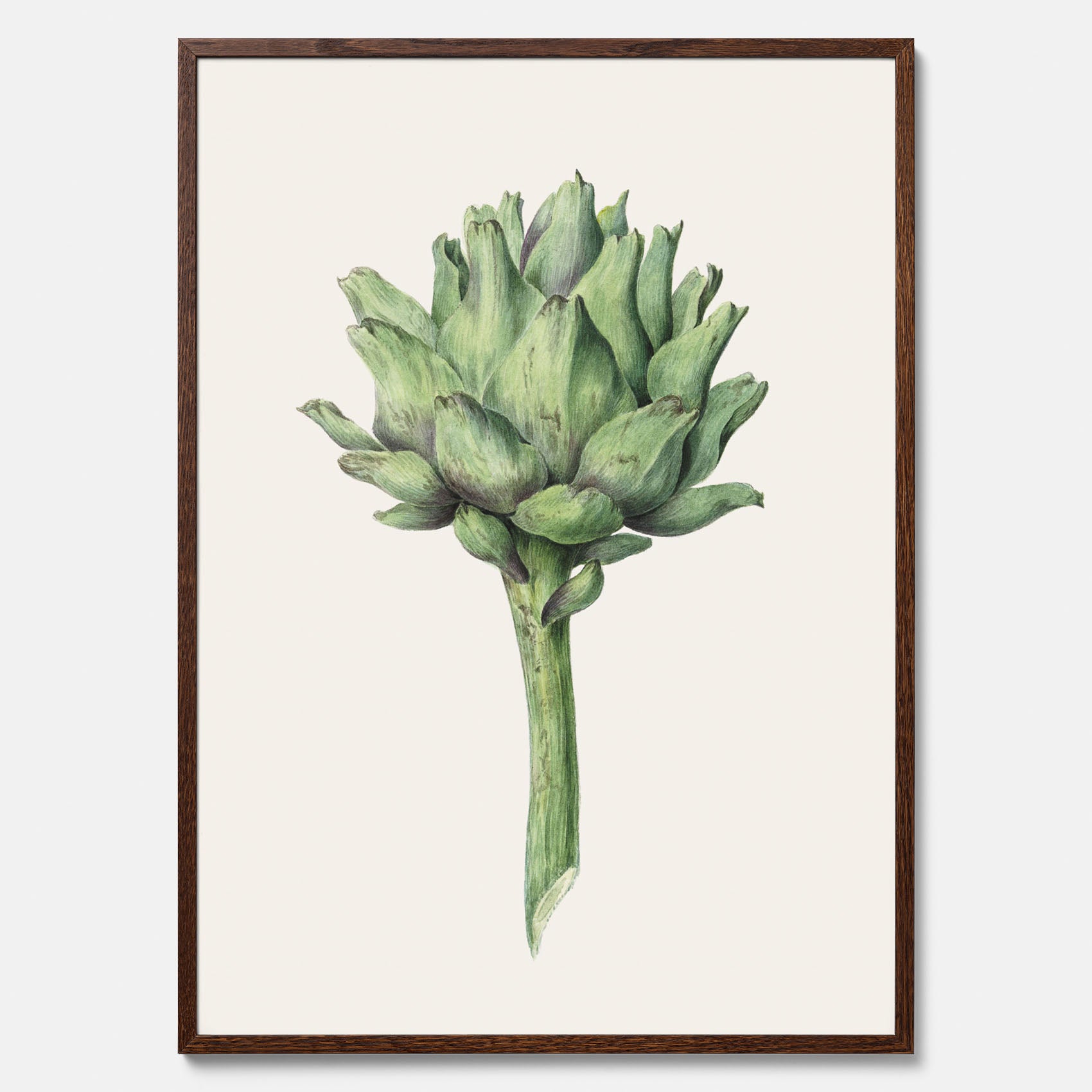 Kökstavla med en Kronärtskocka Poster – Plansch till kök med vintageillustration, vintageposter, köksposter, tavla till kök, poster till kök