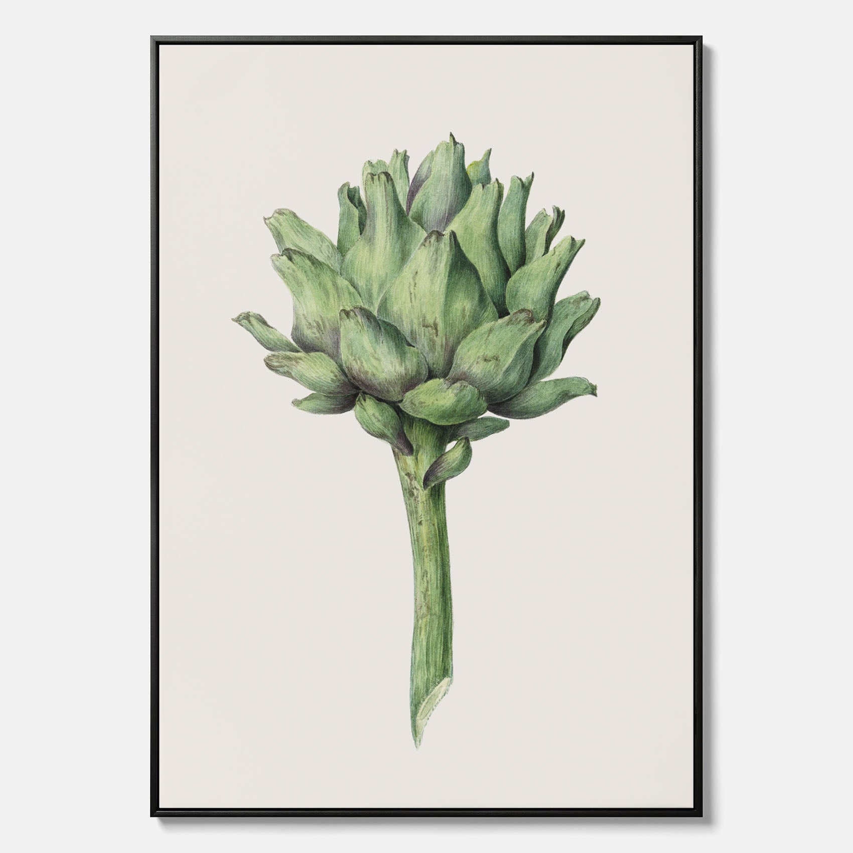 Kökstavla i canvas med en Kronärtskocka Poster – Plansch till kök med vintageillustration, vintageposter, köksposter, tavla till kök, poster till kök