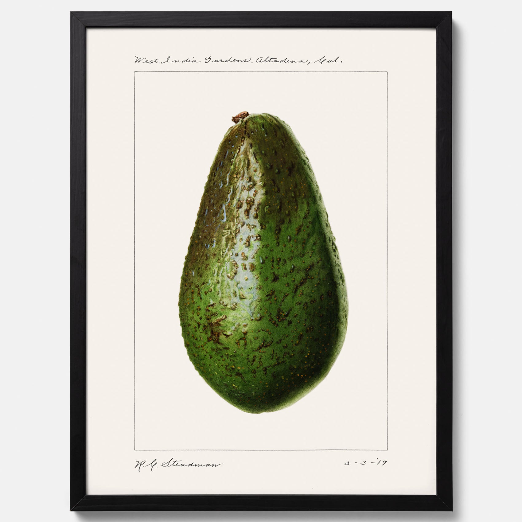 Kökstavla med en Avokado Plansch – Posters till köket, vintageaffisch med illustration av en frukt, köksposter, tavla till kök