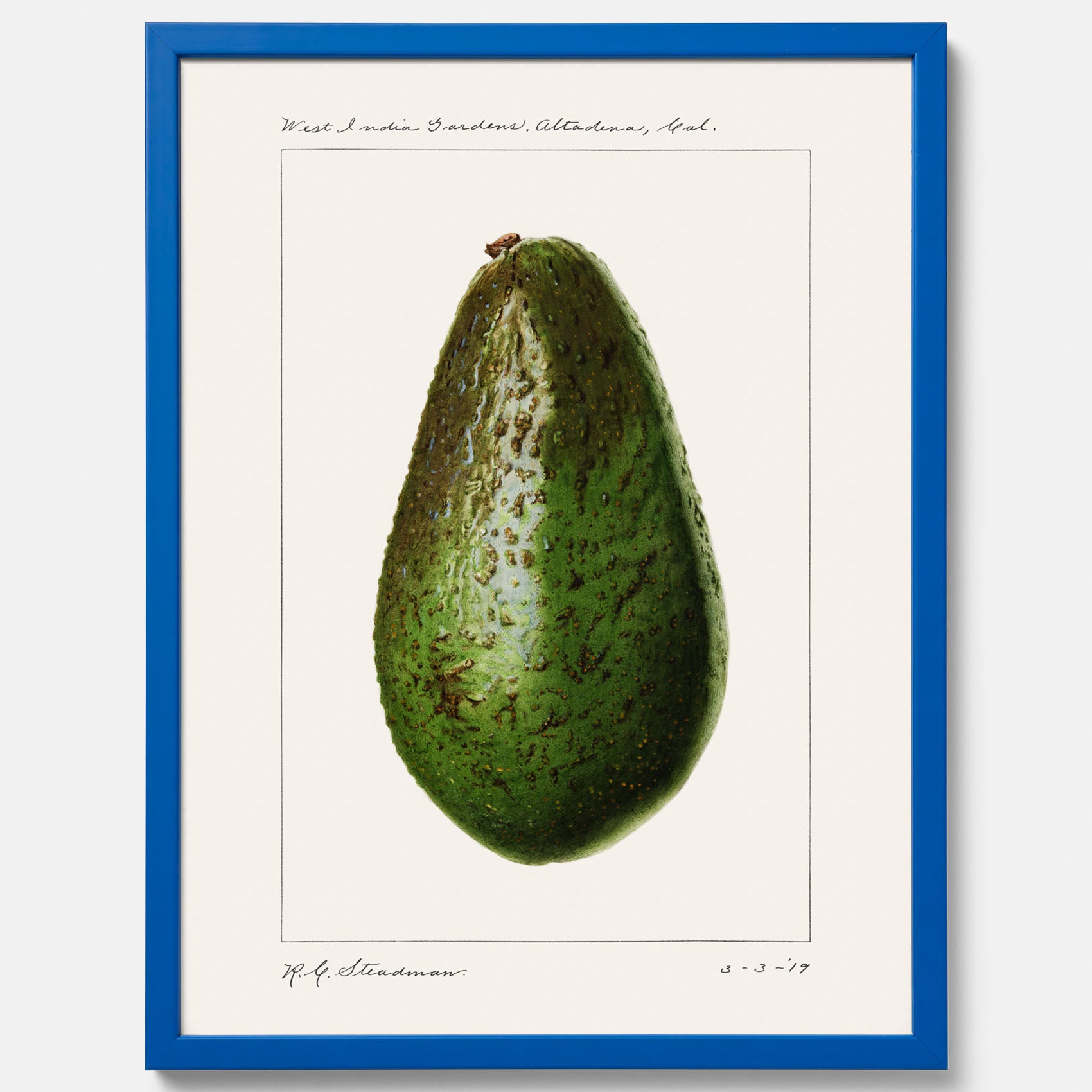 Kökstavla med en Avokado Plansch – Posters till köket, vintageaffisch med illustration av en frukt, köksposter, tavla till kök