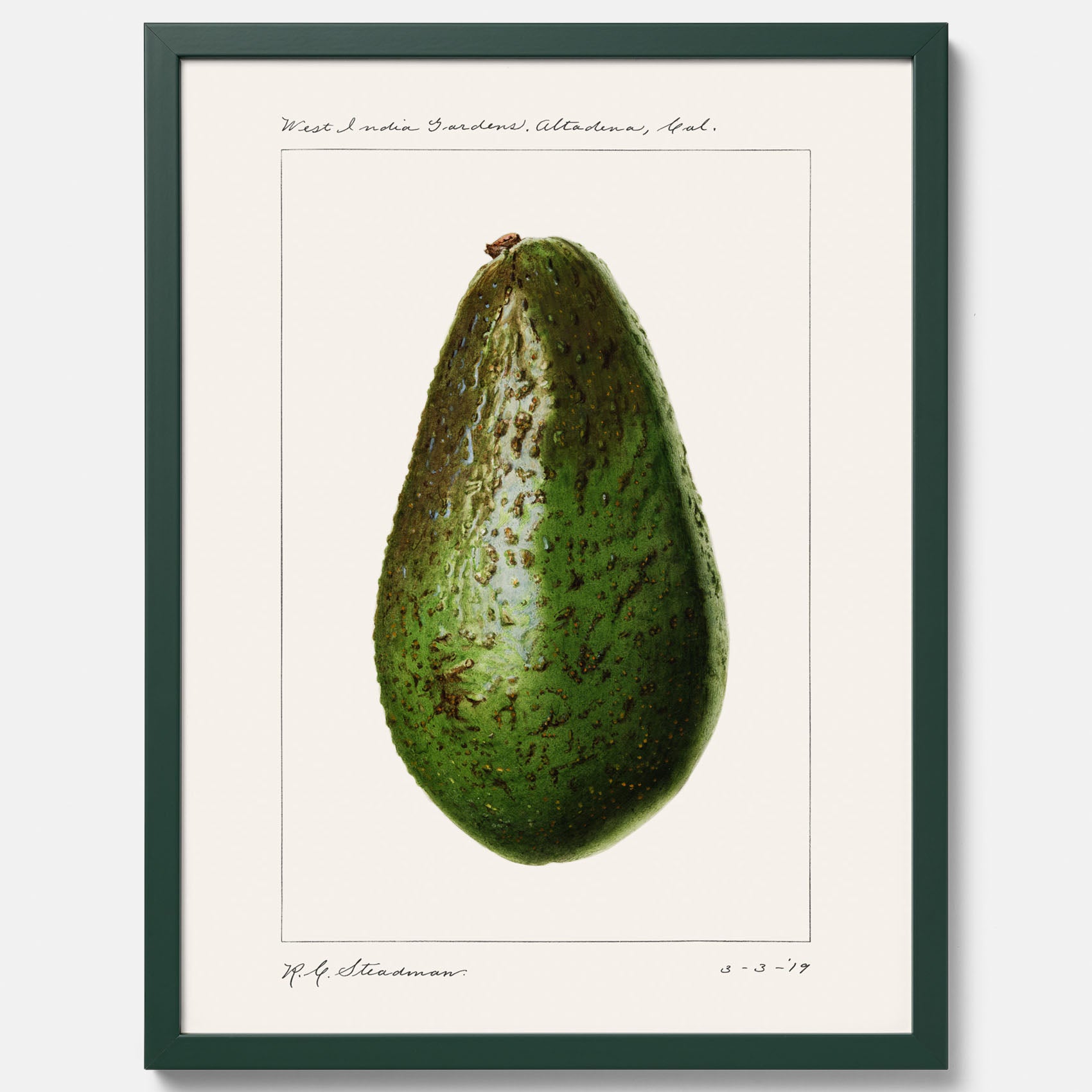 Kökstavla med en Avokado Plansch – Posters till köket, vintageaffisch med illustration av en frukt, köksposter, tavla till kök