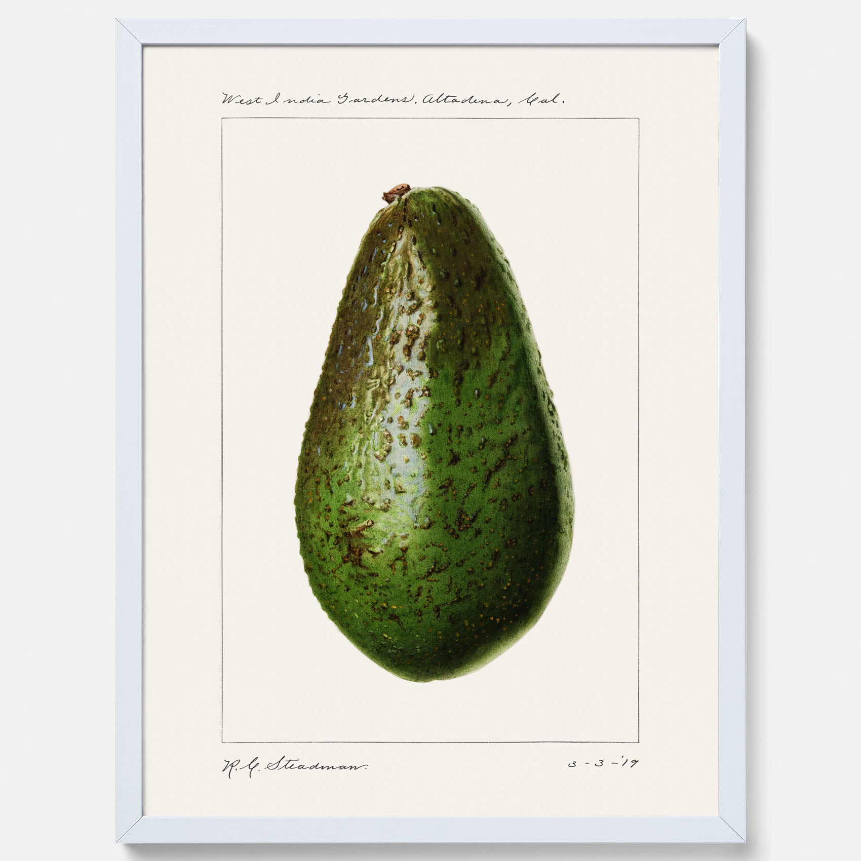 Kökstavla med en Avokado Plansch – Posters till köket, vintageaffisch med illustration av en frukt, köksposter, tavla till kök