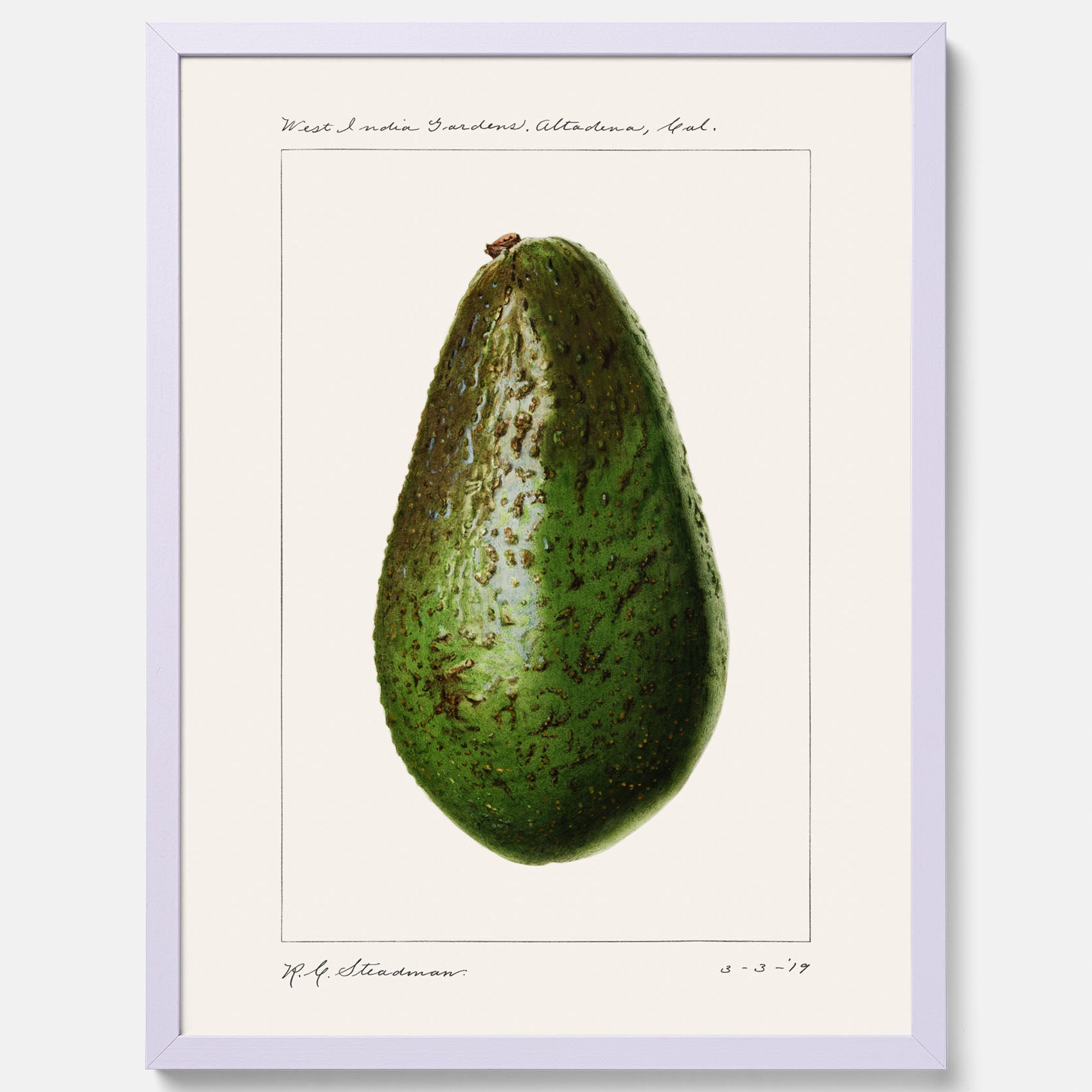 Kökstavla med en Avokado Plansch – Posters till köket, vintageaffisch med illustration av en frukt, köksposter, tavla till kök