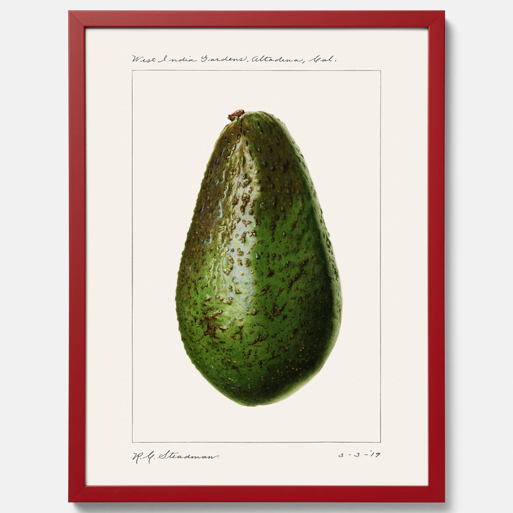 Kökstavla med en Avokado Plansch – Posters till köket, vintageaffisch med illustration av en frukt, köksposter, tavla till kök