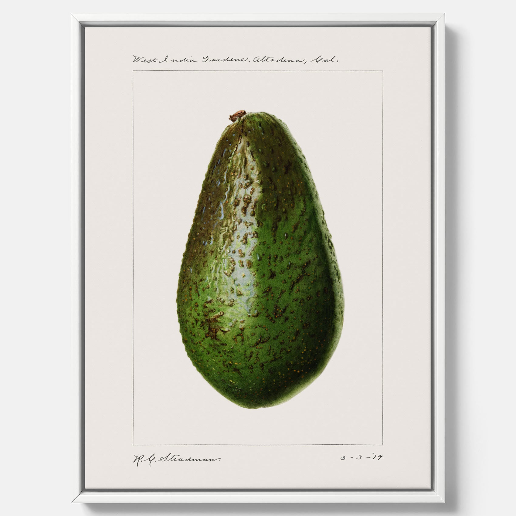 Kökstavla med en Avokado canvas – Posters till köket, vintageaffisch med illustration av en frukt, köksposter, tavla till kök