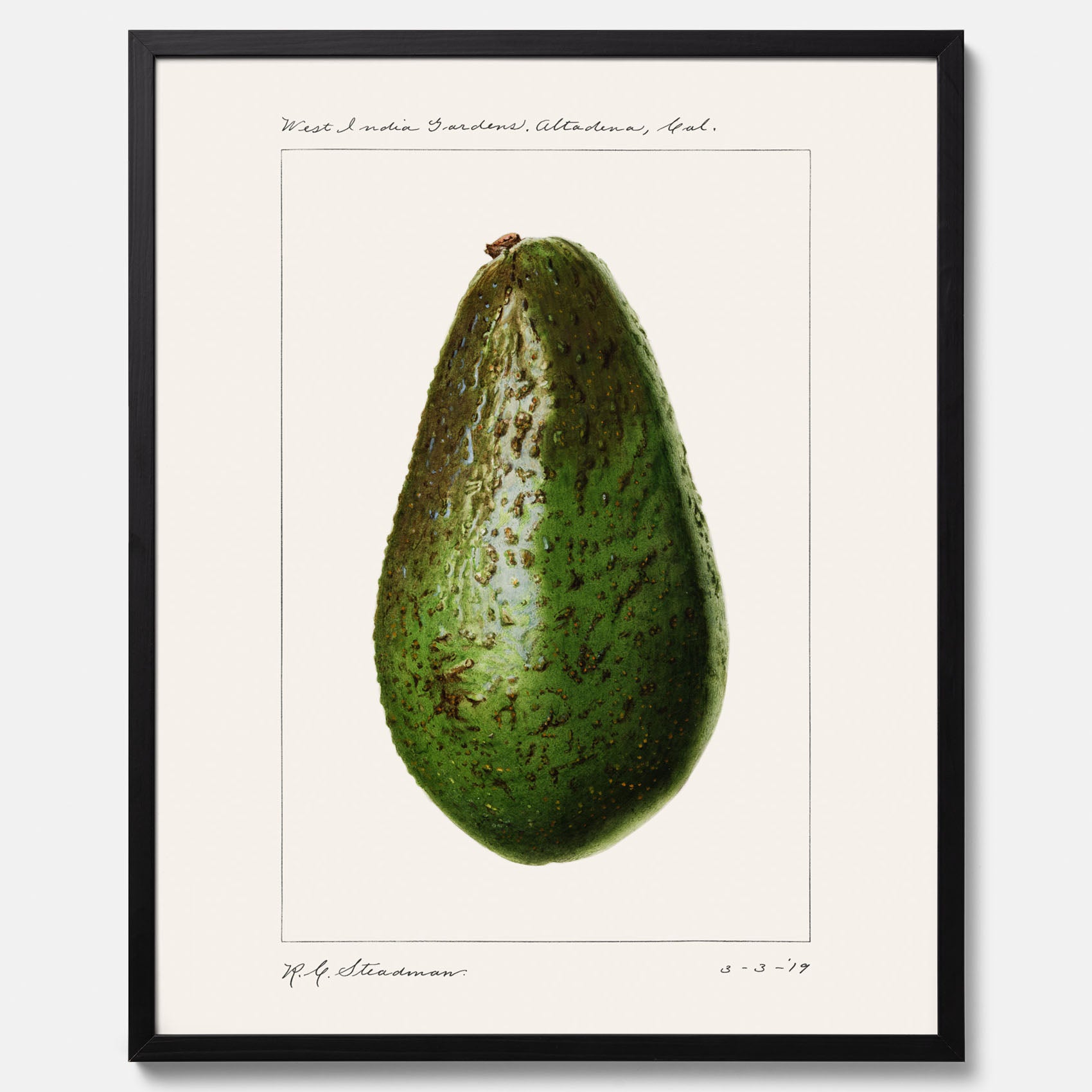 Kökstavla med en Avokado Plansch – Posters till köket, vintageaffisch med illustration av en frukt, köksposter, tavla till kök
