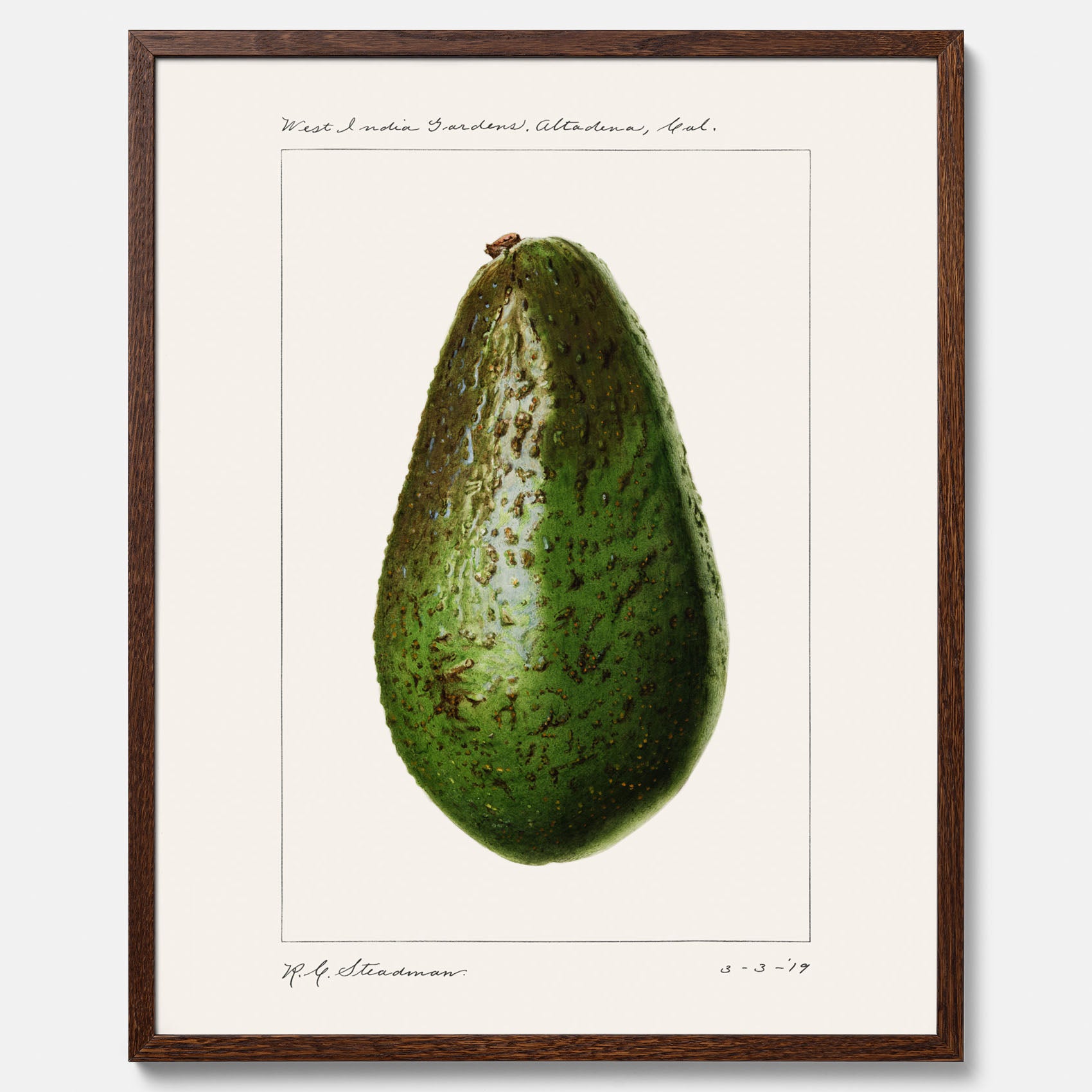 Kökstavla med en Avokado Plansch – Posters till köket, vintageaffisch med illustration av en frukt, köksposter, tavla till kök