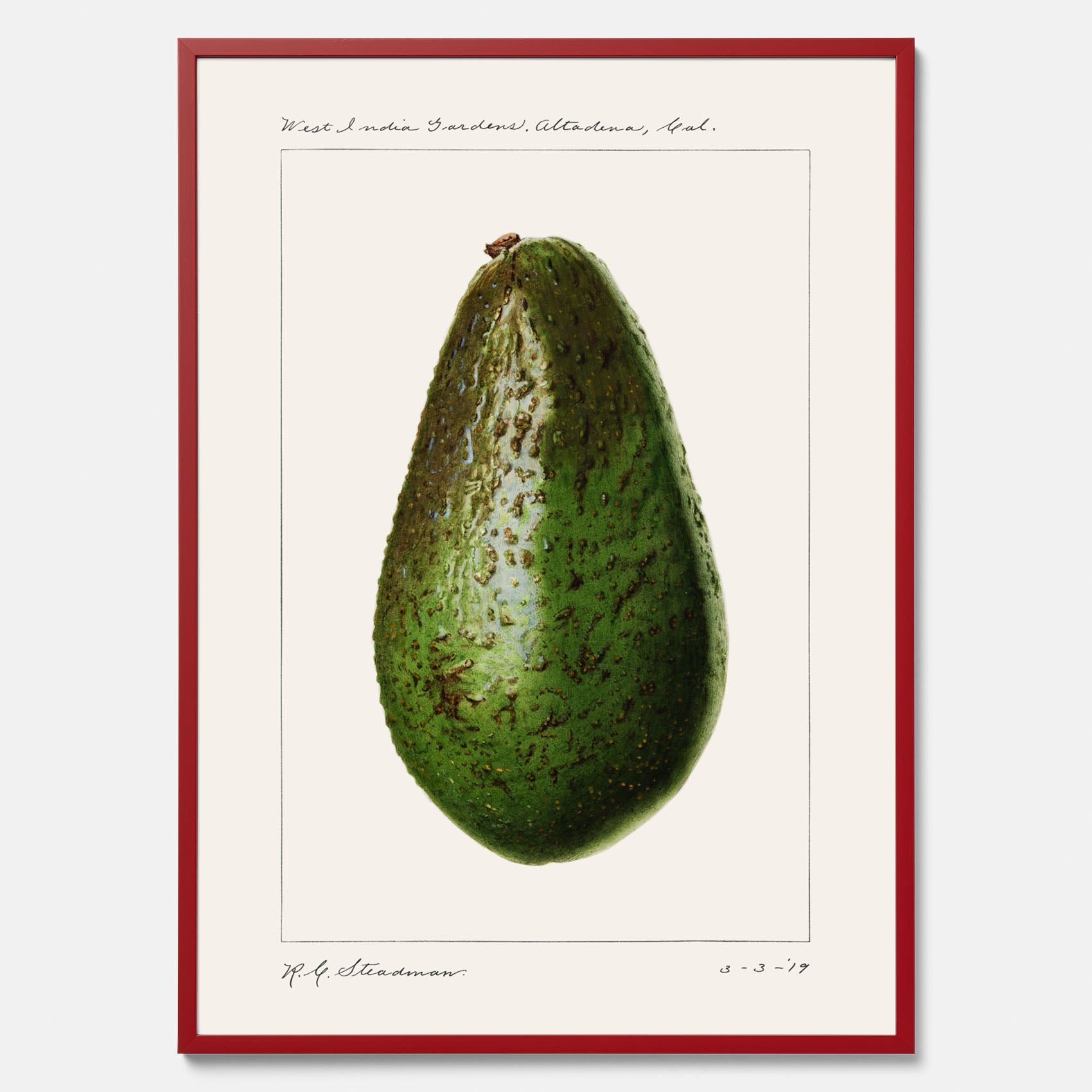 Kökstavla med en Avokado Plansch – Posters till köket, vintageaffisch med illustration av en frukt, köksposter, tavla till kök