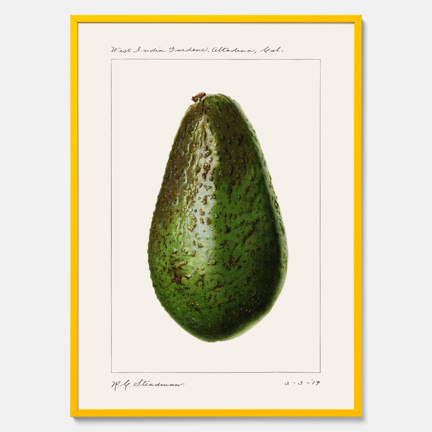 Kökstavla med en Avokado Plansch – Posters till köket, vintageaffisch med illustration av en frukt, köksposter, tavla till kök