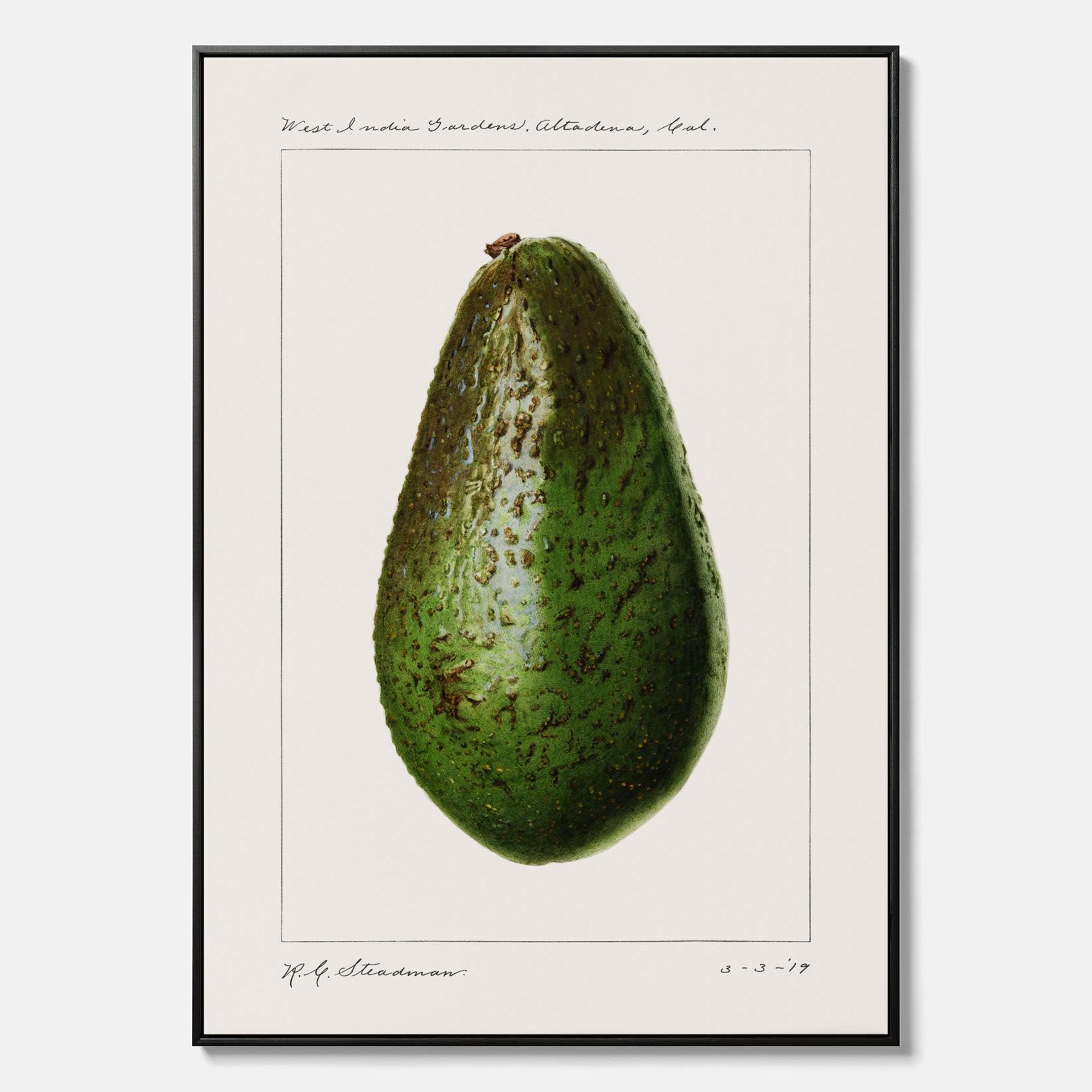 Kökstavla med en Avokado canvas – Posters till köket, vintageaffisch med illustration av en frukt, köksposter, tavla till kök
