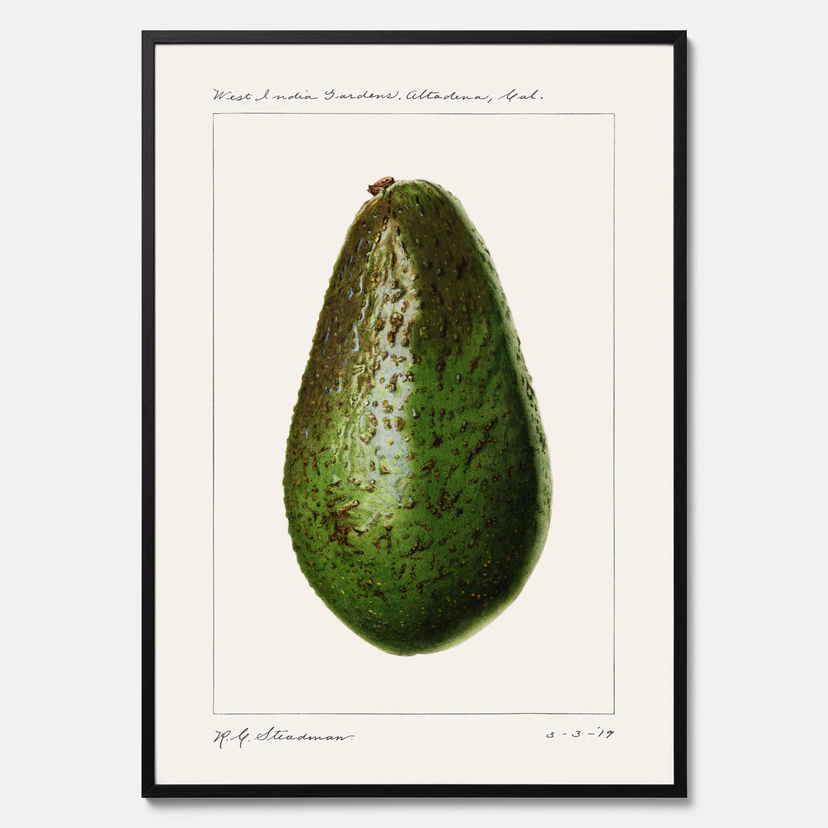 Kökstavla med en Avokado Plansch – Posters till köket, vintageaffisch med illustration av en frukt, köksposter, tavla till kök