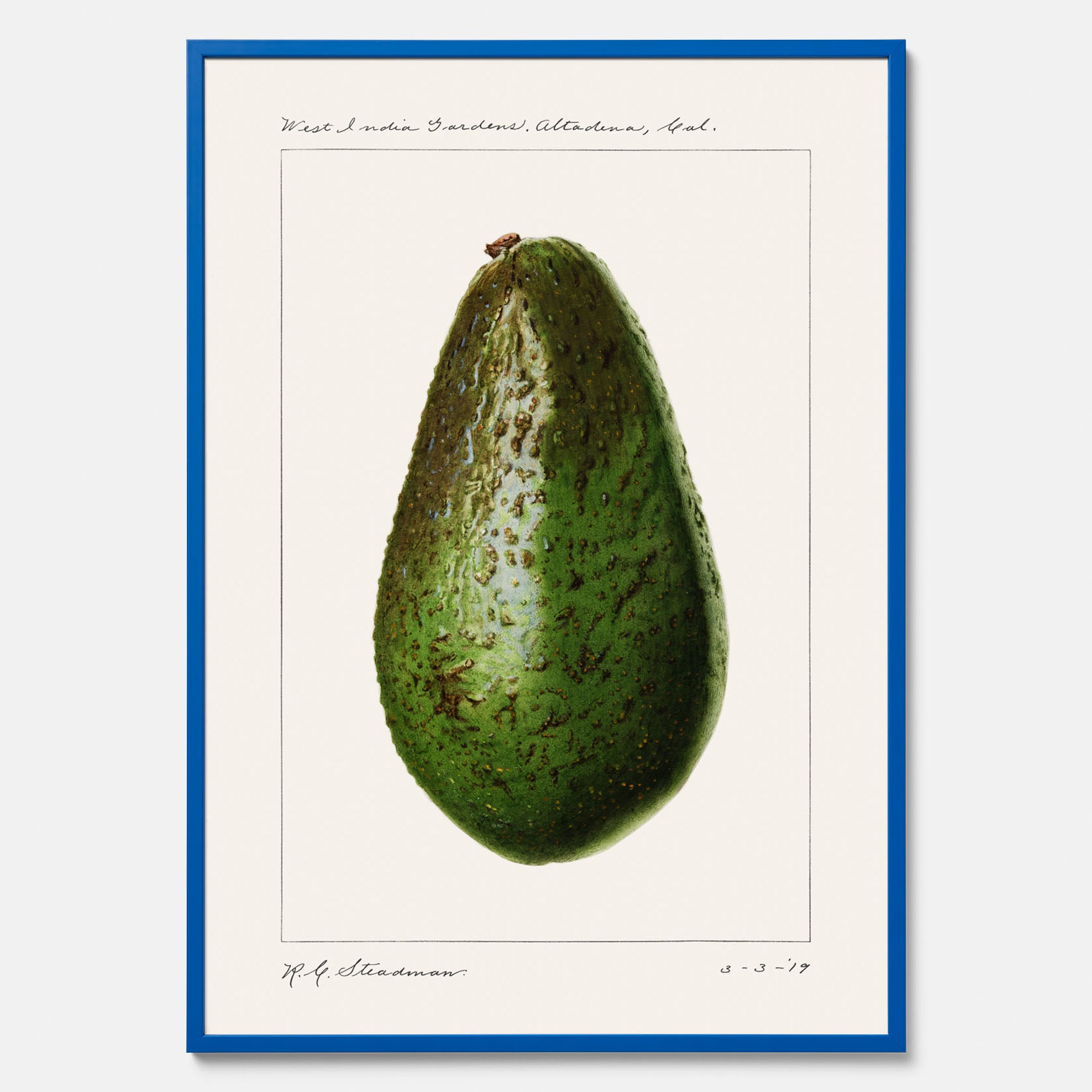 Kökstavla med en Avokado Plansch – Posters till köket, vintageaffisch med illustration av en frukt, köksposter, tavla till kök