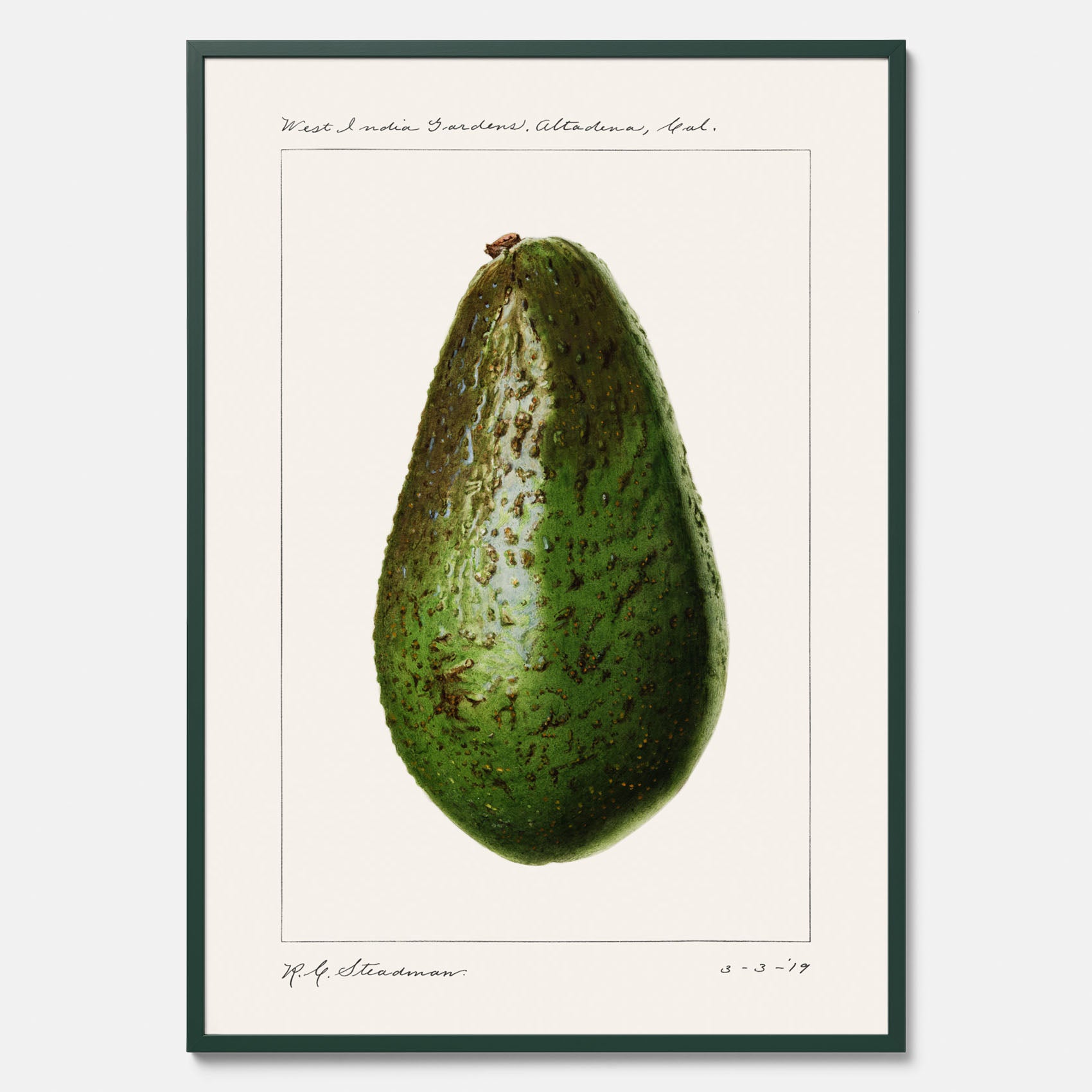Kökstavla med en Avokado Plansch – Posters till köket, vintageaffisch med illustration av en frukt, köksposter, tavla till kök