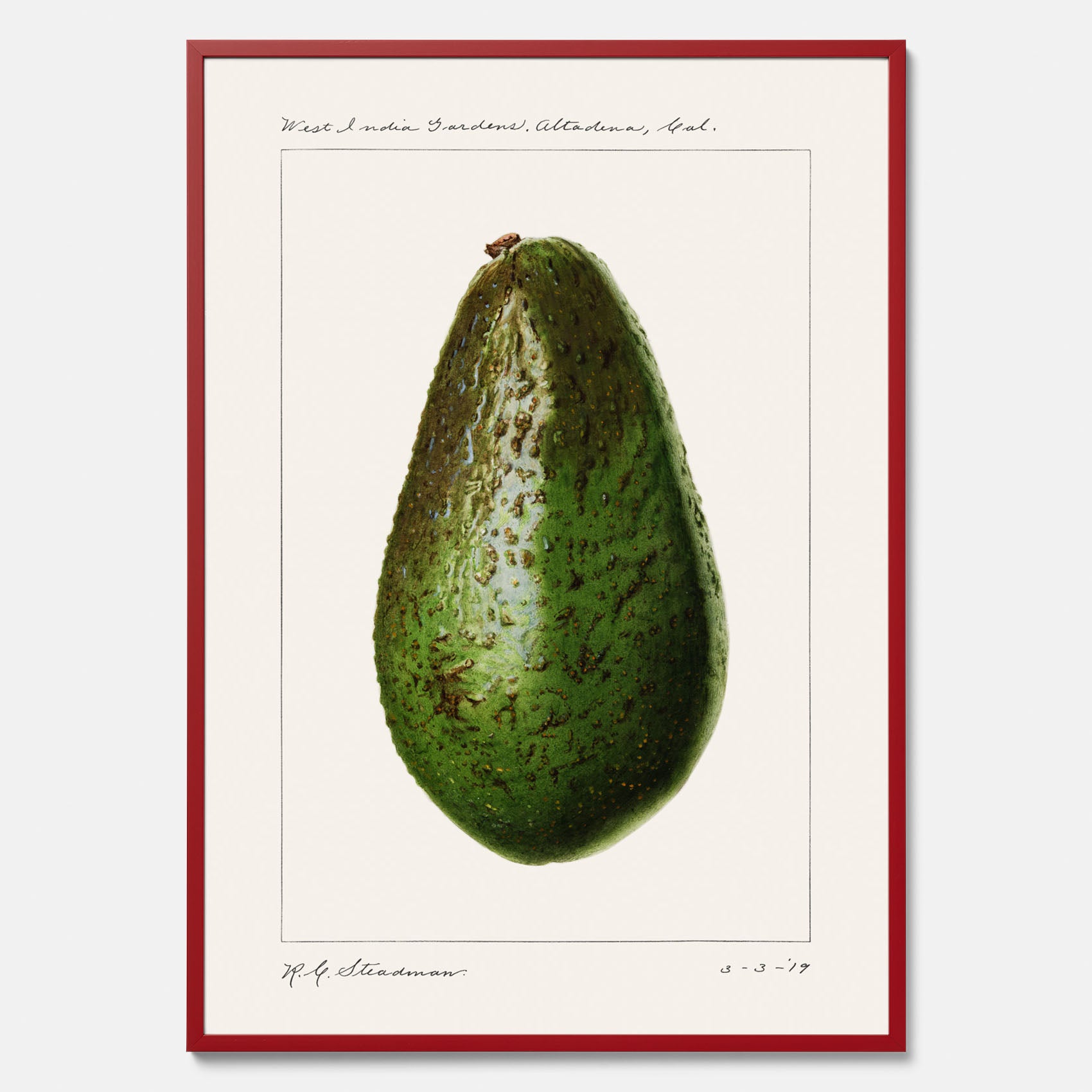 Kökstavla med en Avokado Plansch – Posters till köket, vintageaffisch med illustration av en frukt, köksposter, tavla till kök