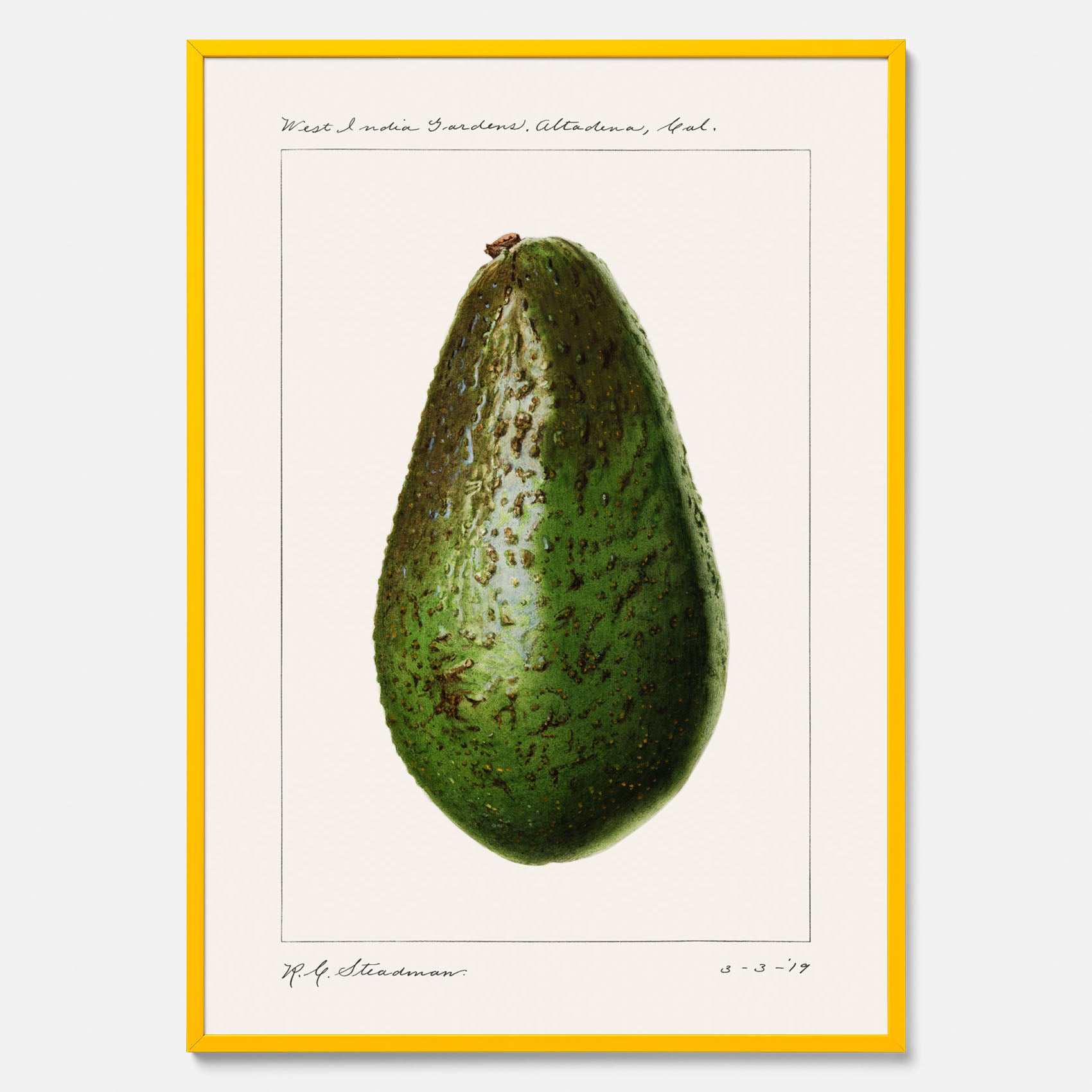 Kökstavla med en Avokado Plansch – Posters till köket, vintageaffisch med illustration av en frukt, köksposter, tavla till kök