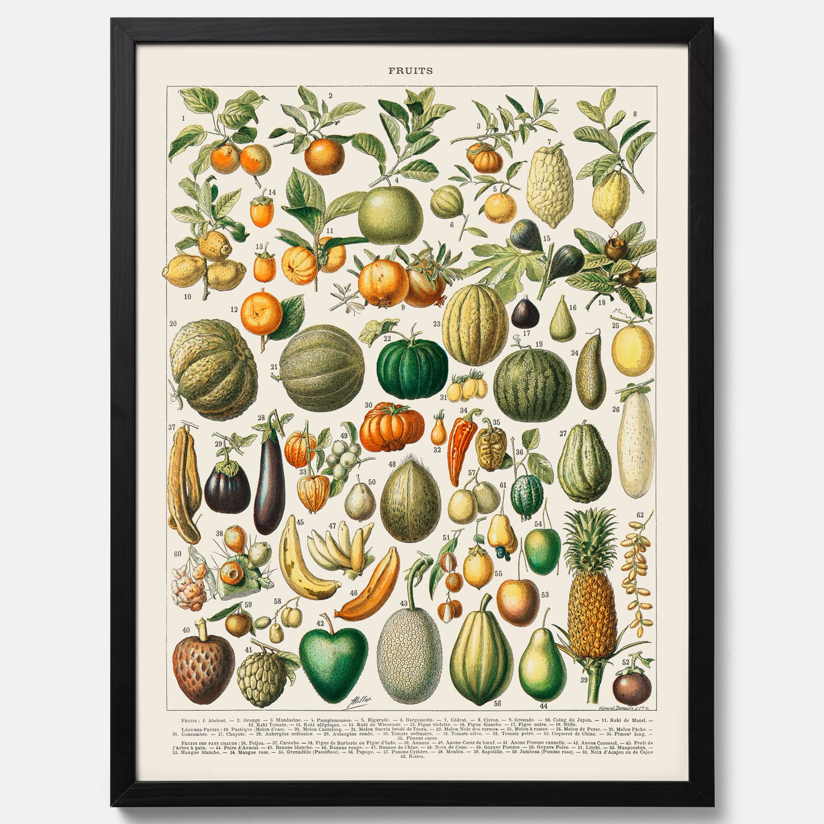 Kökstavla med Frukt och grönsaker Plansch – Posters till köket, Affisch med en vintageillustration, köksposter, tavla till kök