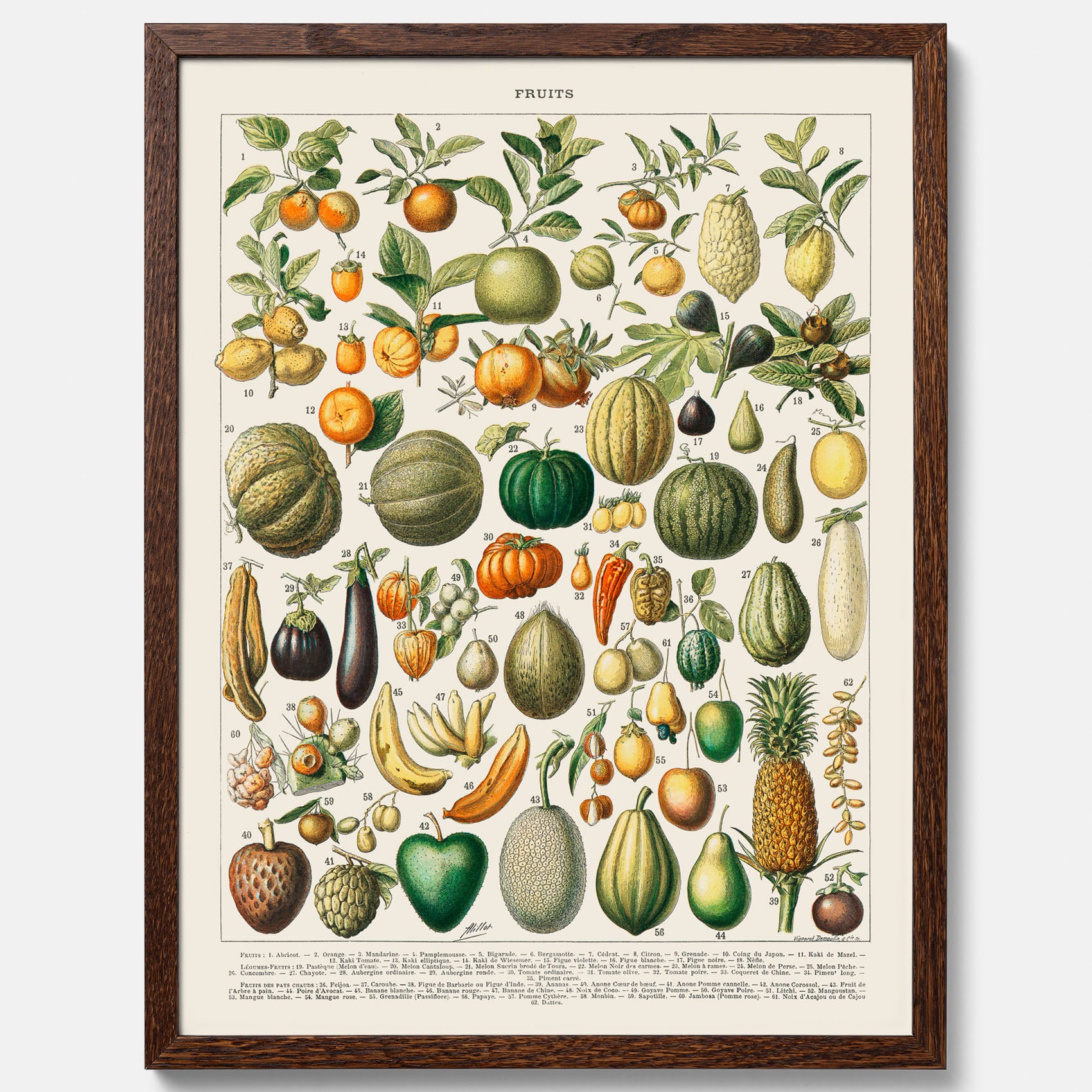 Kökstavla med Frukt och grönsaker Plansch – Posters till köket, Affisch med en vintageillustration, köksposter, tavla till kök