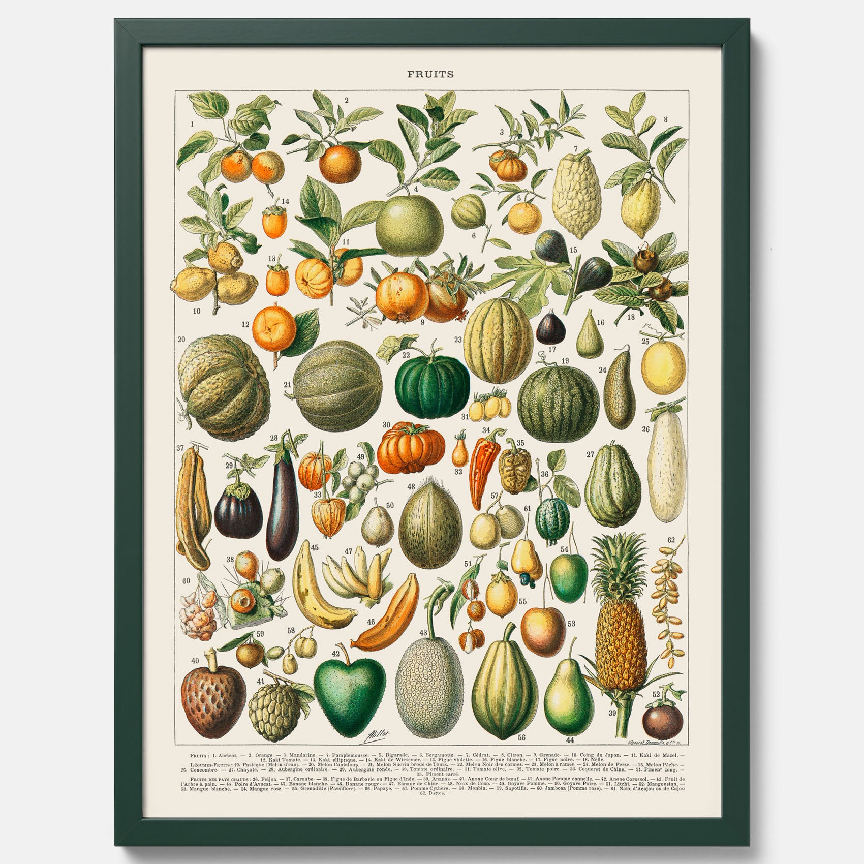 Kökstavla med Frukt och grönsaker Plansch – Posters till köket, Affisch med en vintageillustration, köksposter, tavla till kök