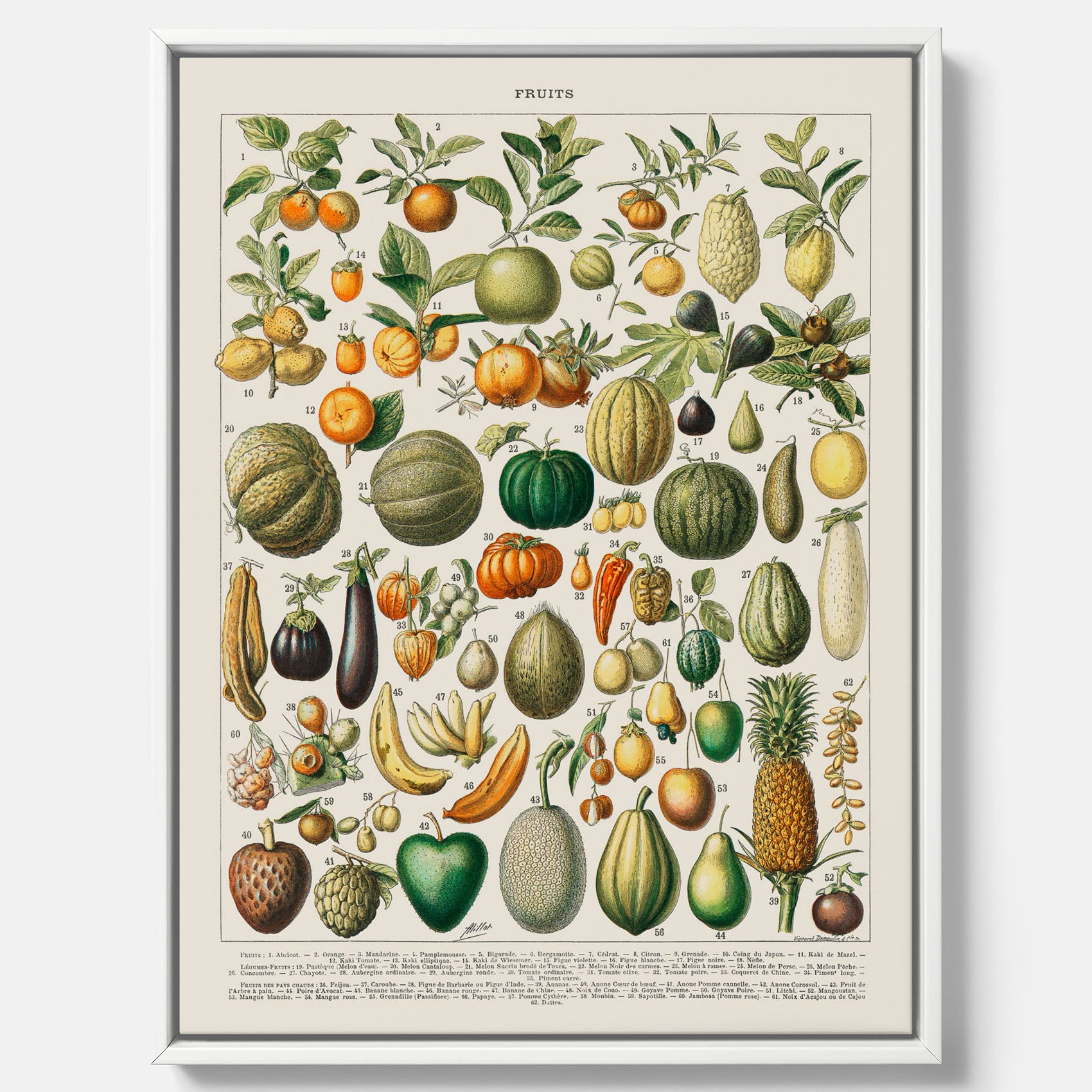 Kökstavla i canvas med Frukt och grönsaker Plansch – Posters till köket, Affisch med en vintageillustration, köksposter, tavla till kök
