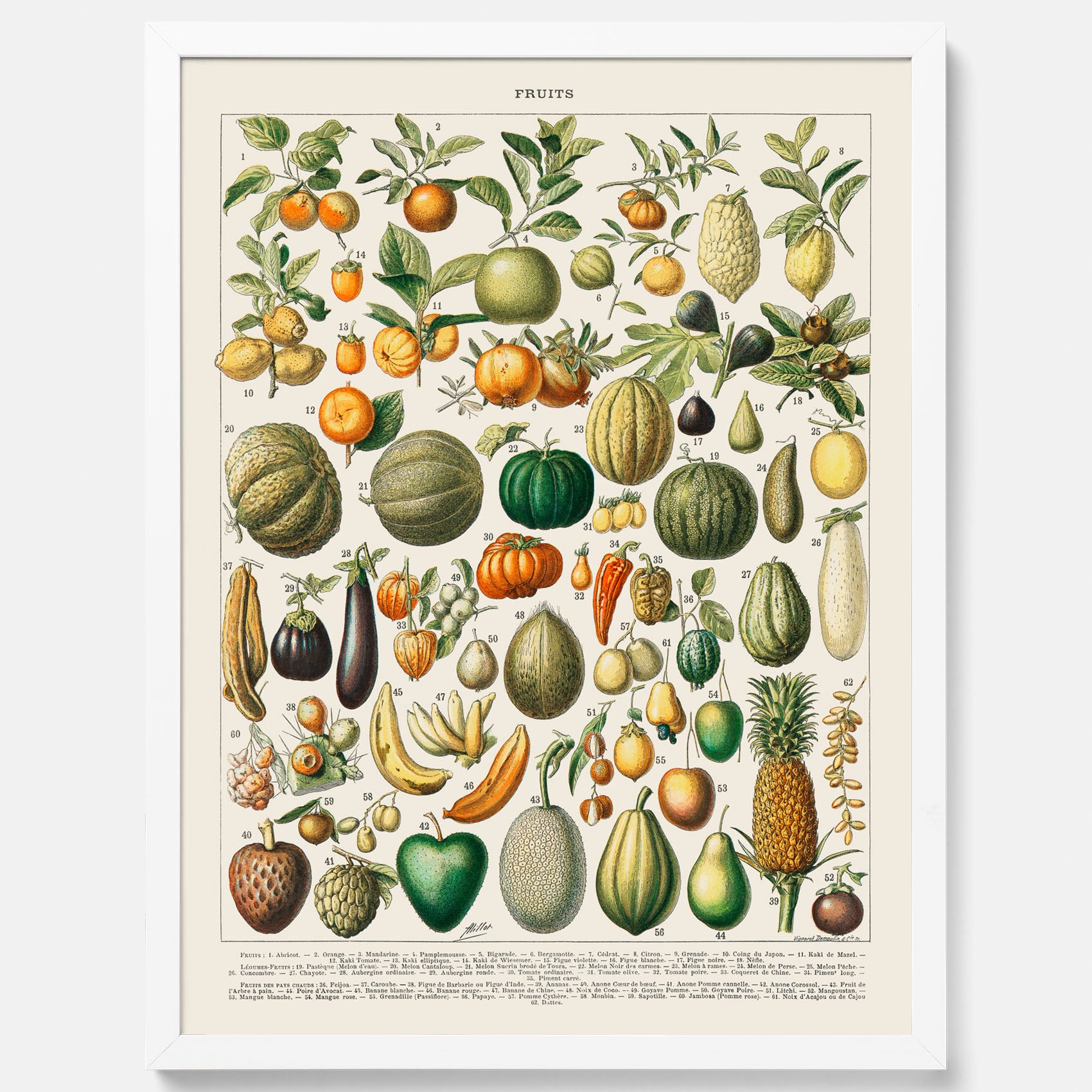 Kökstavla med Frukt och grönsaker Plansch – Posters till köket, Affisch med en vintageillustration, köksposter, tavla till kök