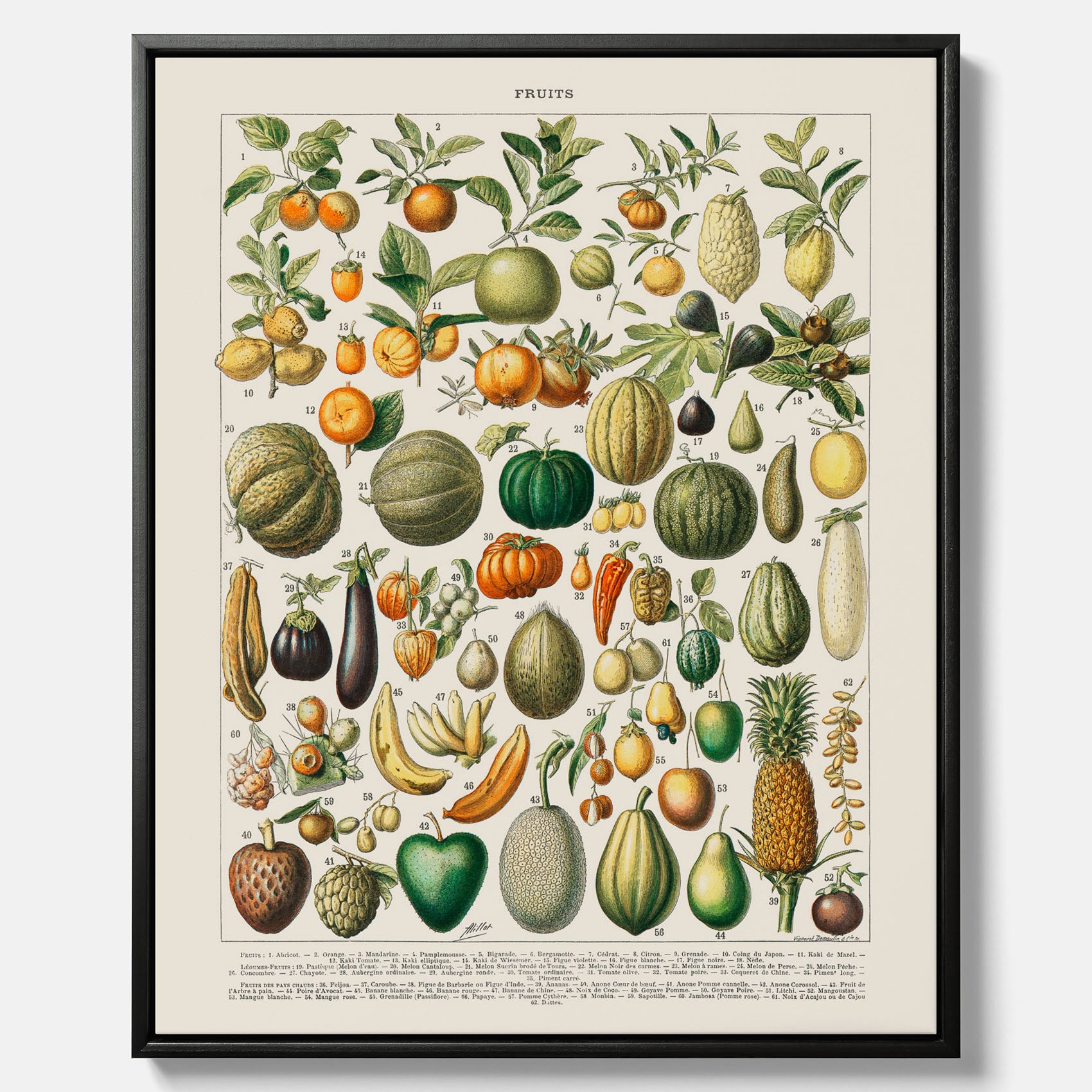 Kökstavla i canvas med Frukt och grönsaker Plansch – Posters till köket, Affisch med en vintageillustration, köksposter, tavla till kök