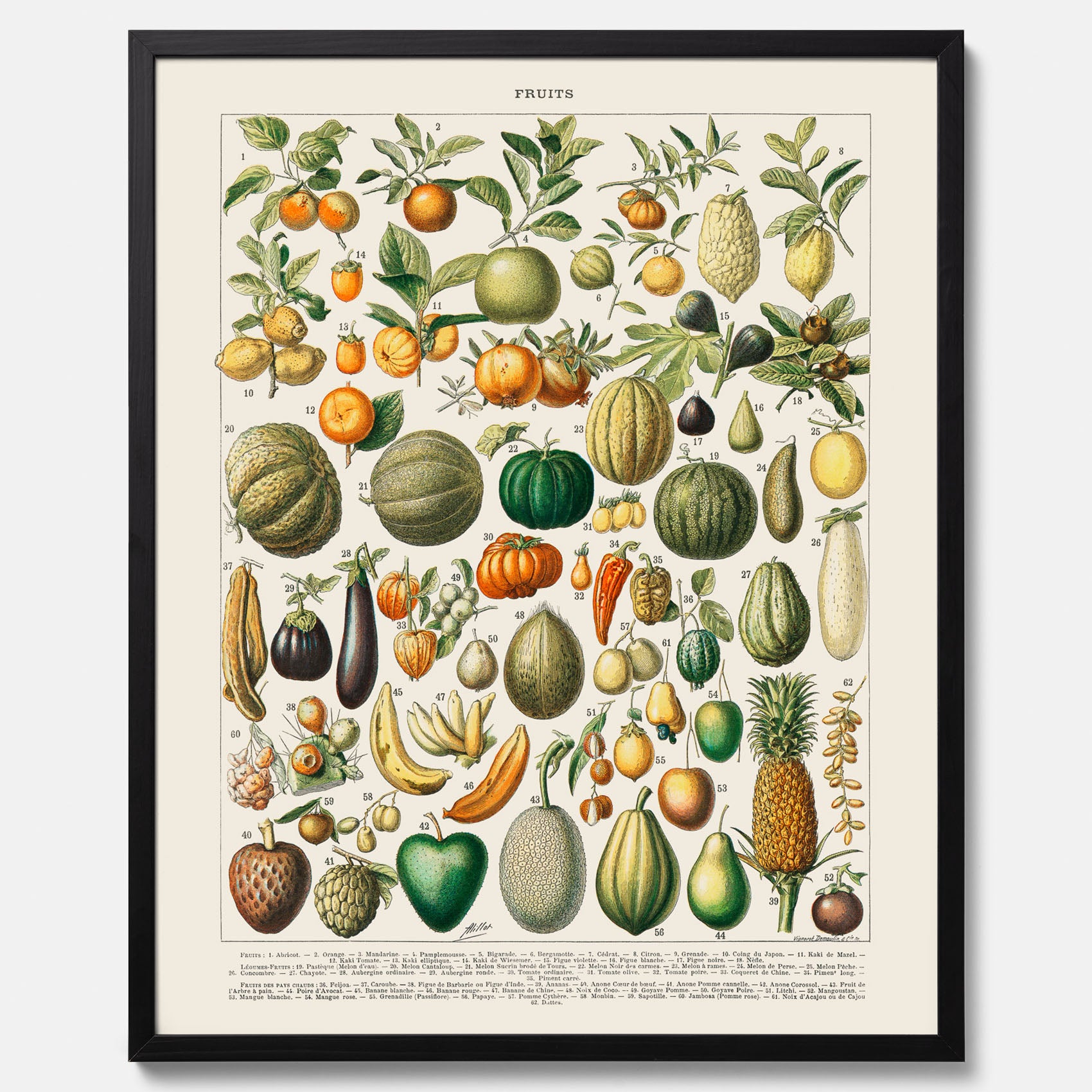Kökstavla med Frukt och grönsaker Plansch – Posters till köket, Affisch med en vintageillustration, köksposter, tavla till kök